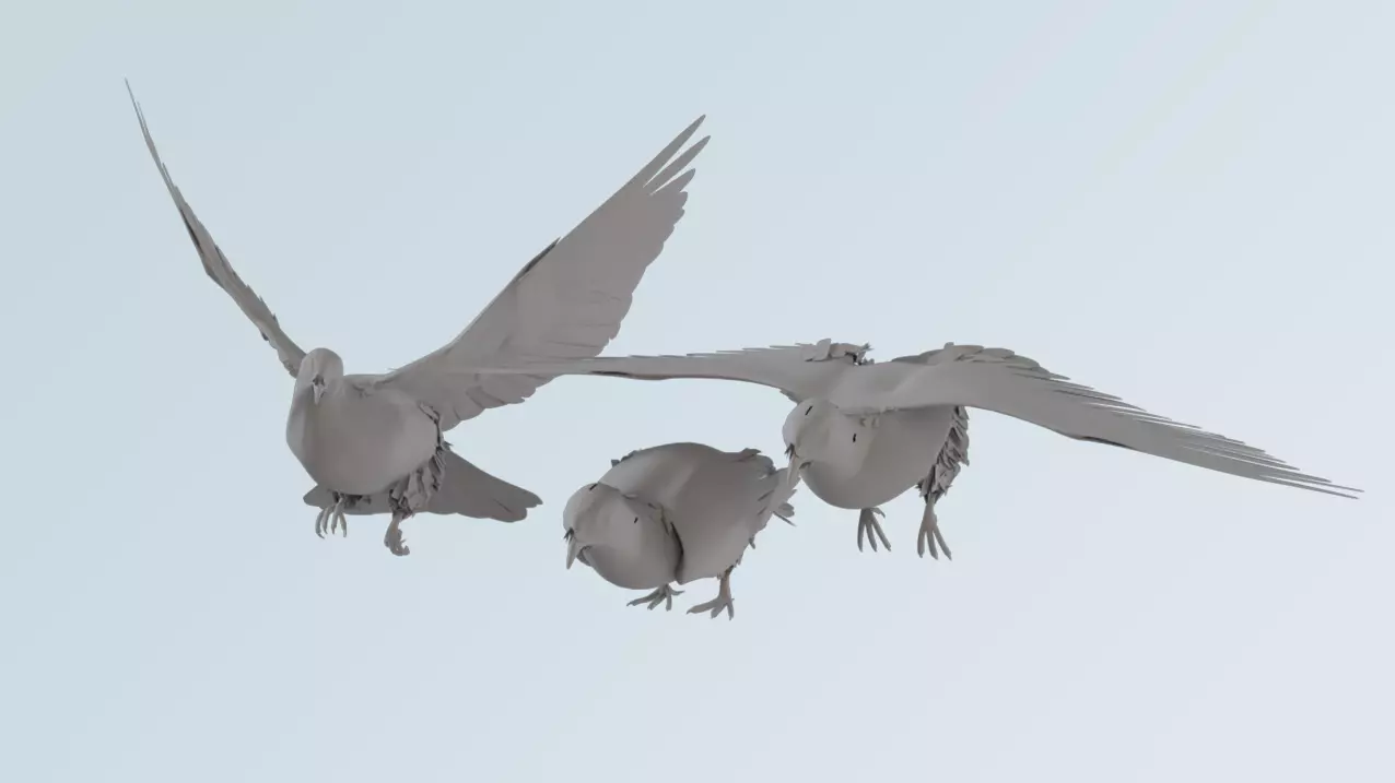 Pigeons birds 3D model