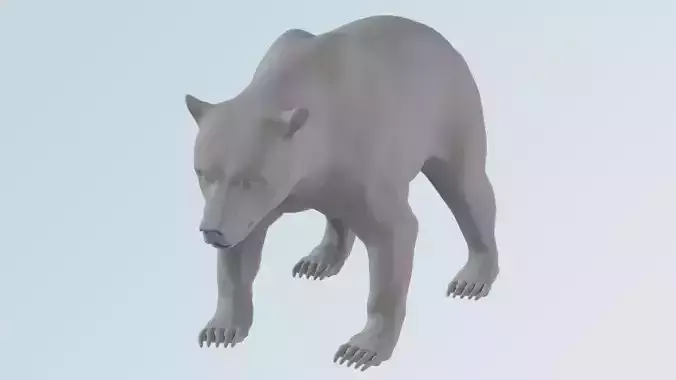 Bear - grizzly