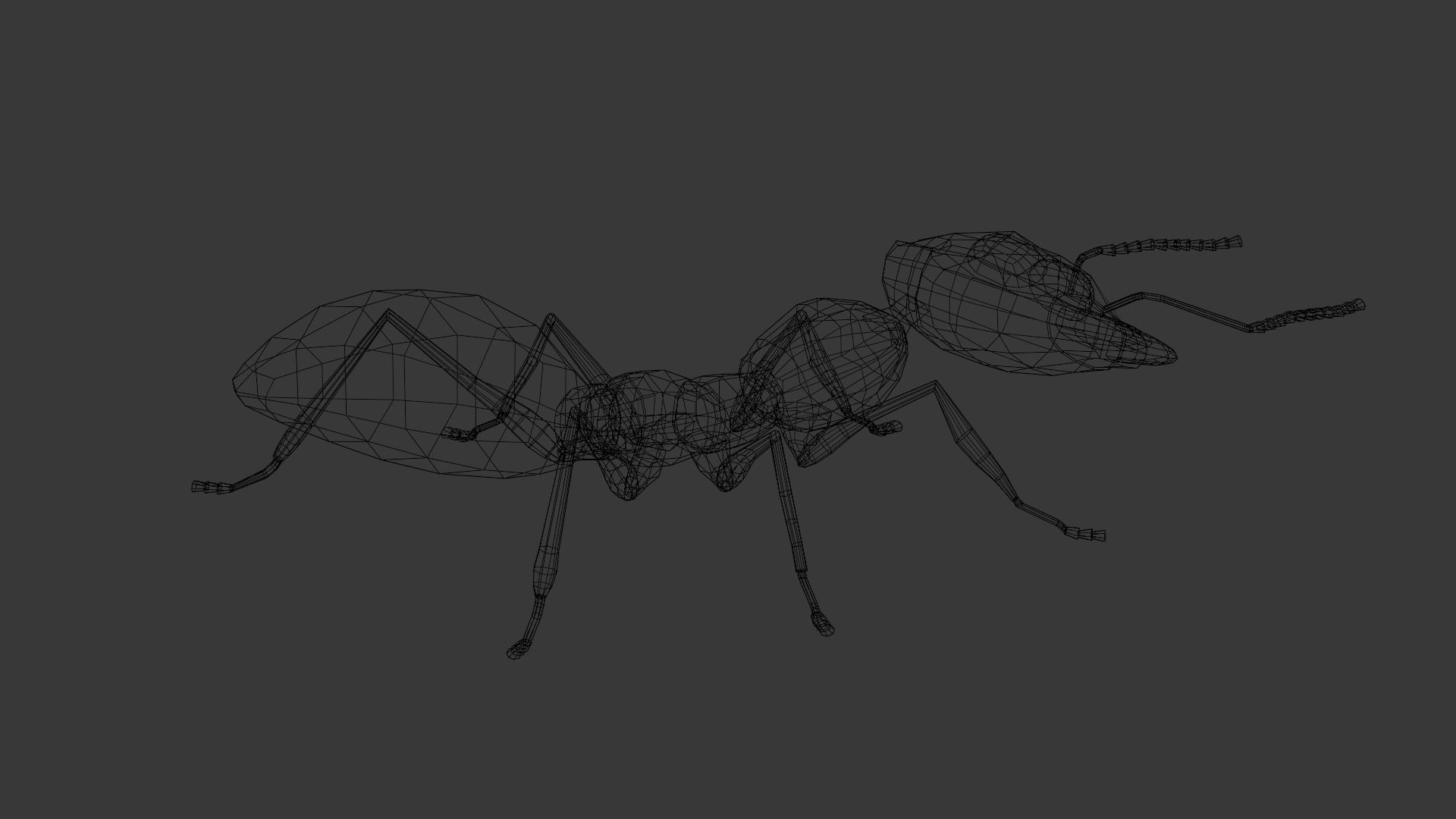 Ant 3D Model Animated and Rigged Low-poly 3D model_15