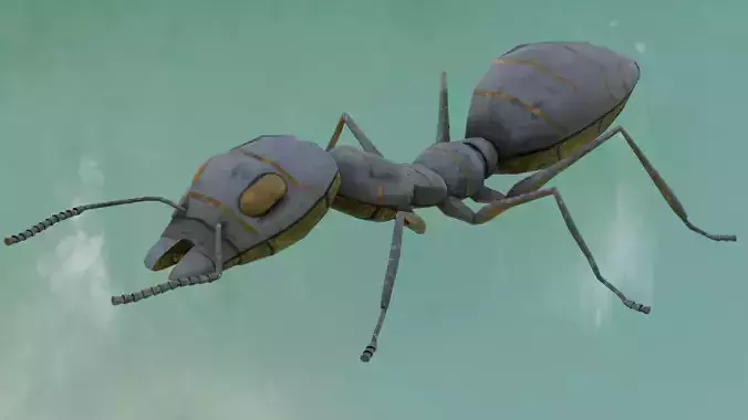 Ant 3D Model Animated and Rigged Low-poly 3D model
