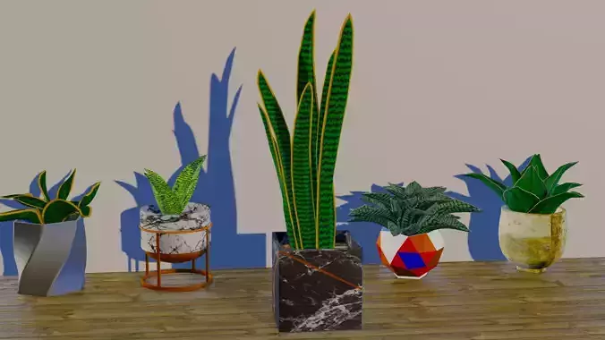 Snake Plant Pack Low-poly 3D model