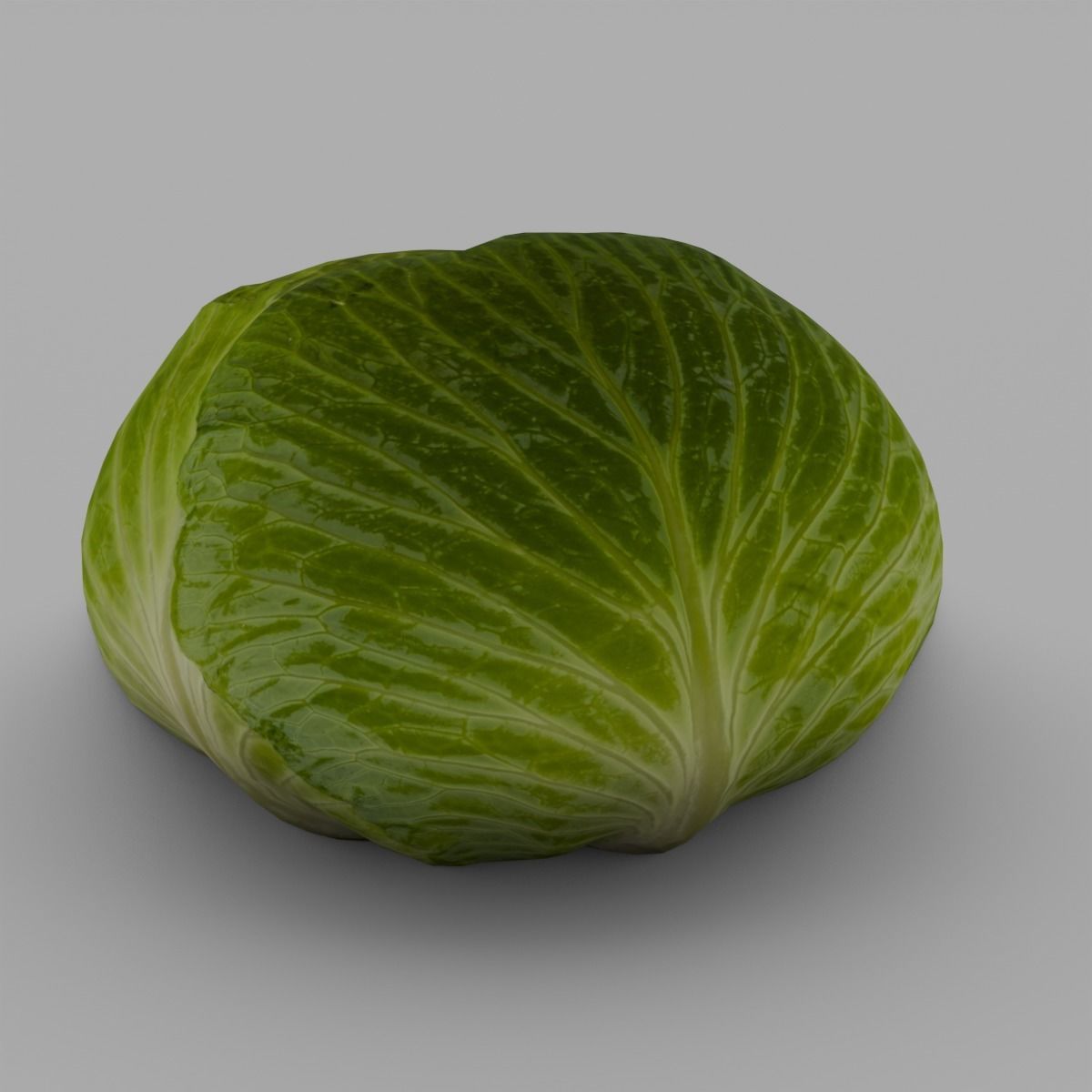 Cabbage 3D Model Low-poly 3D model_6