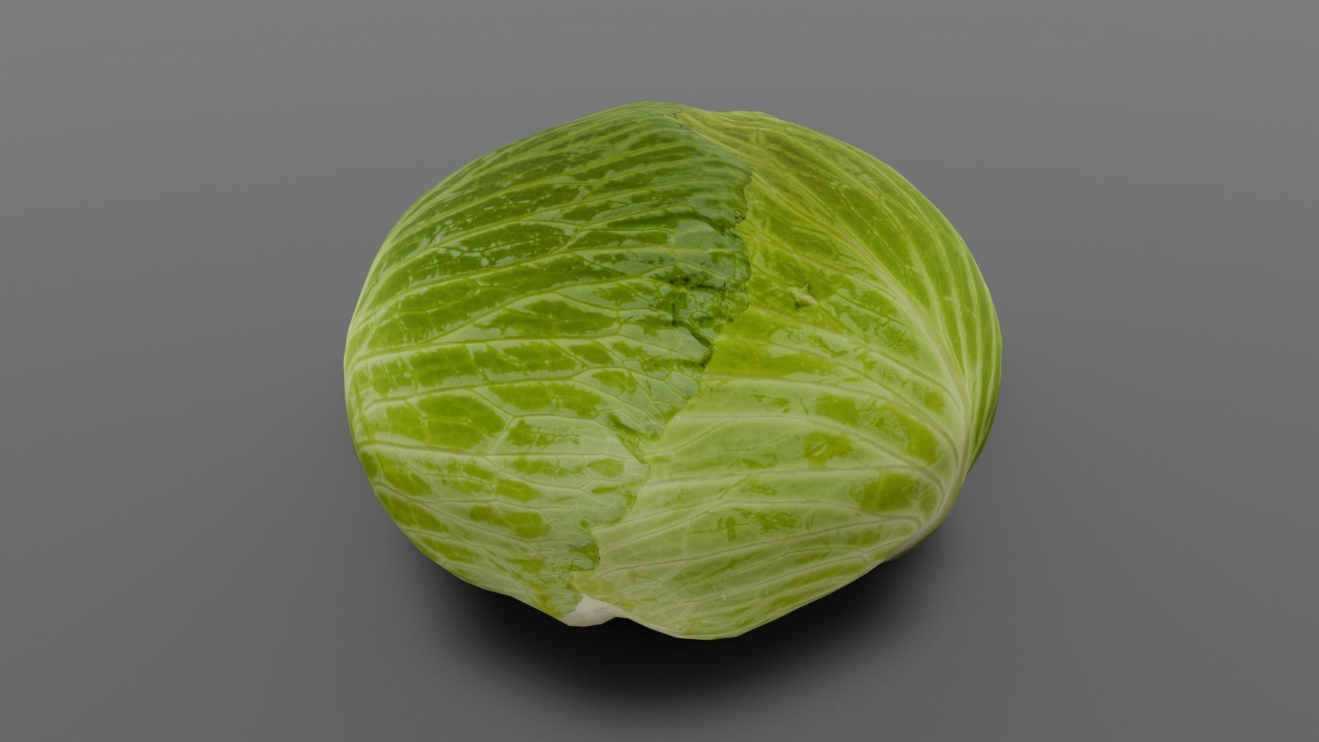 Cabbage 3D Model Low-poly 3D model_10