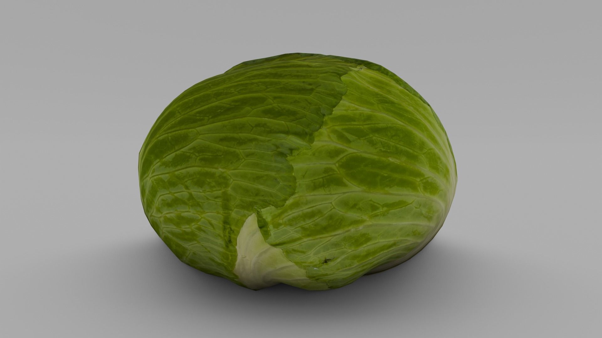 Cabbage 3D Model Low-poly 3D model_13