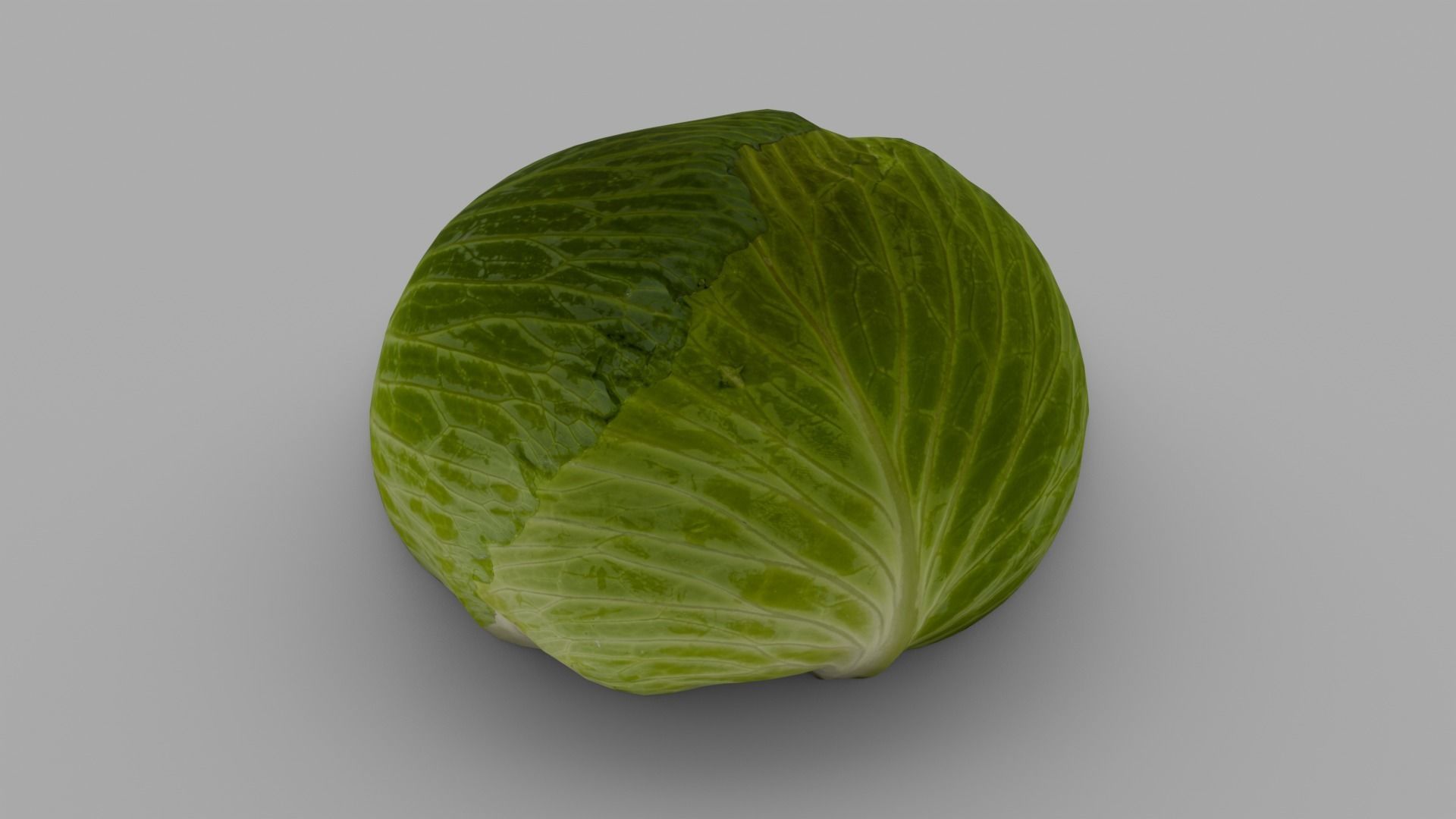 Cabbage 3D Model Low-poly 3D model_1