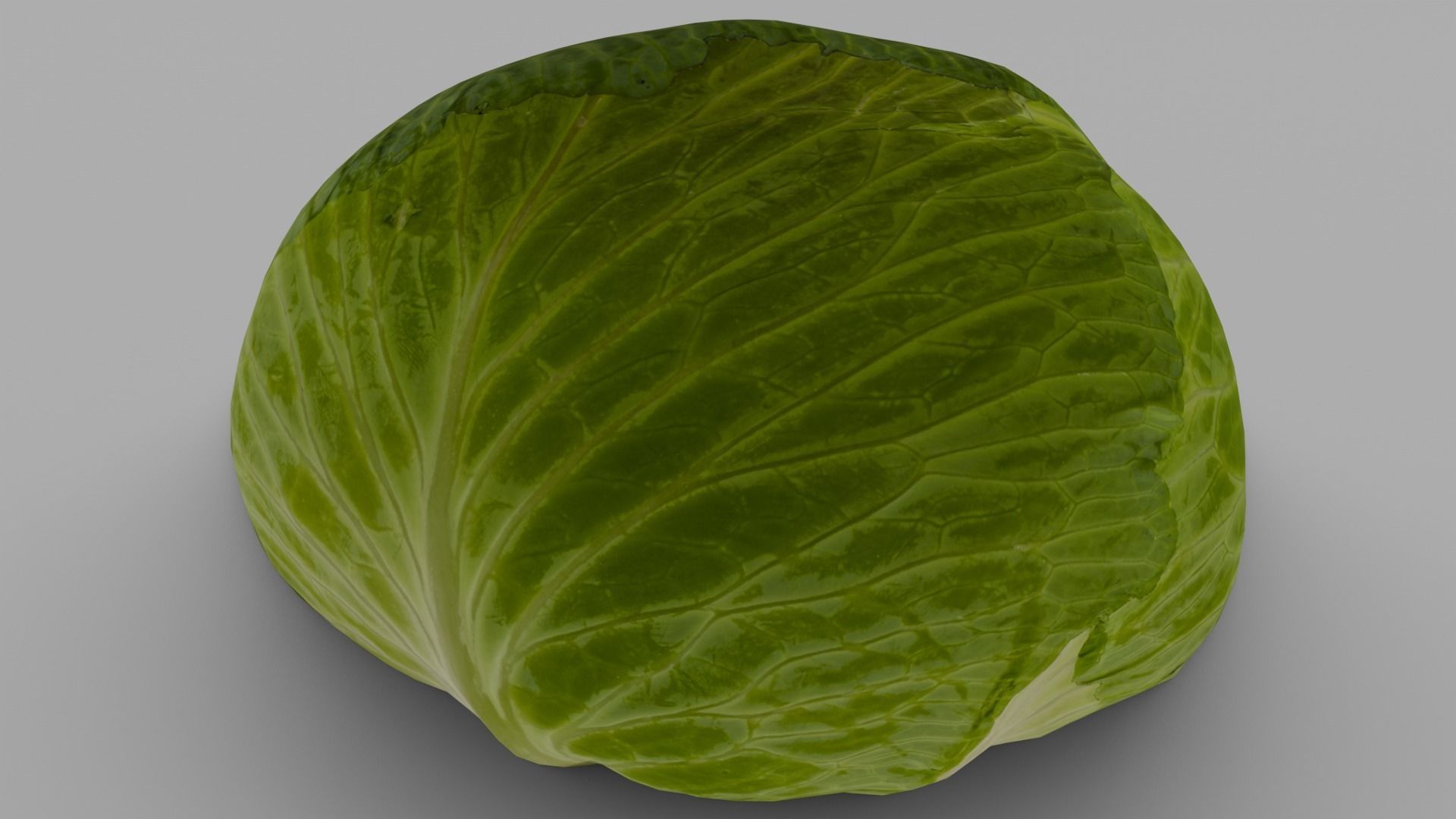 Cabbage 3D Model Low-poly 3D model_12