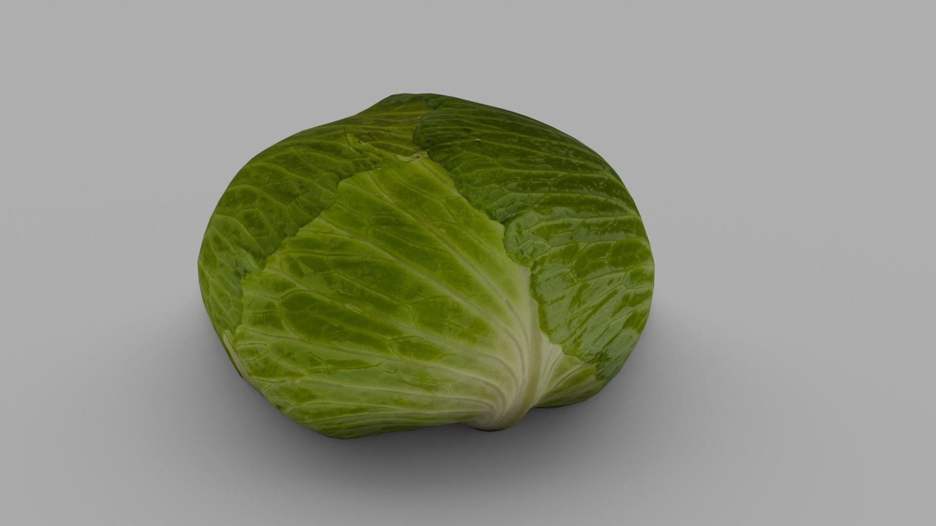 Cabbage 3D Model Low-poly 3D model_14