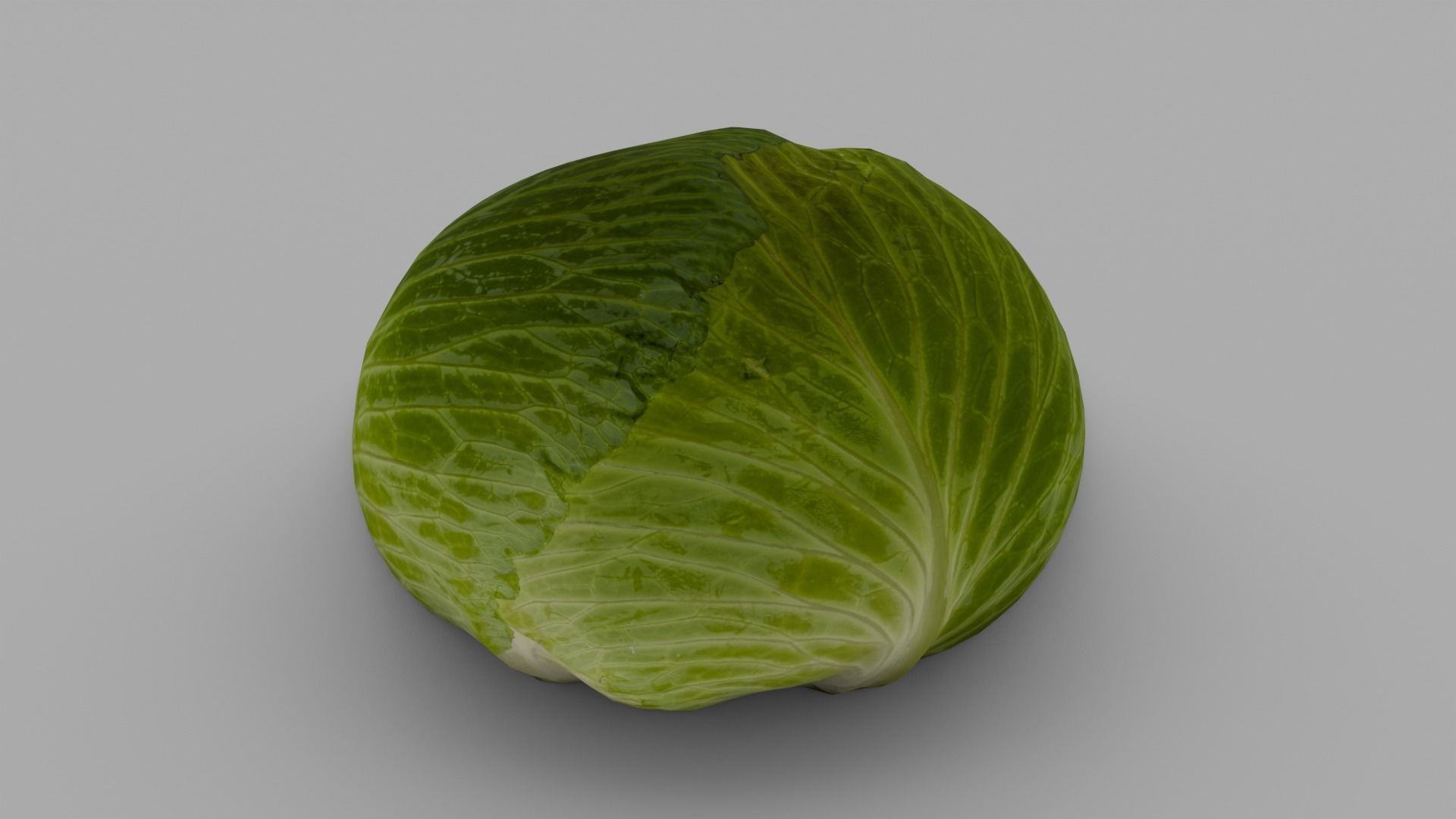 Cabbage 3D Model Low-poly 3D model_11
