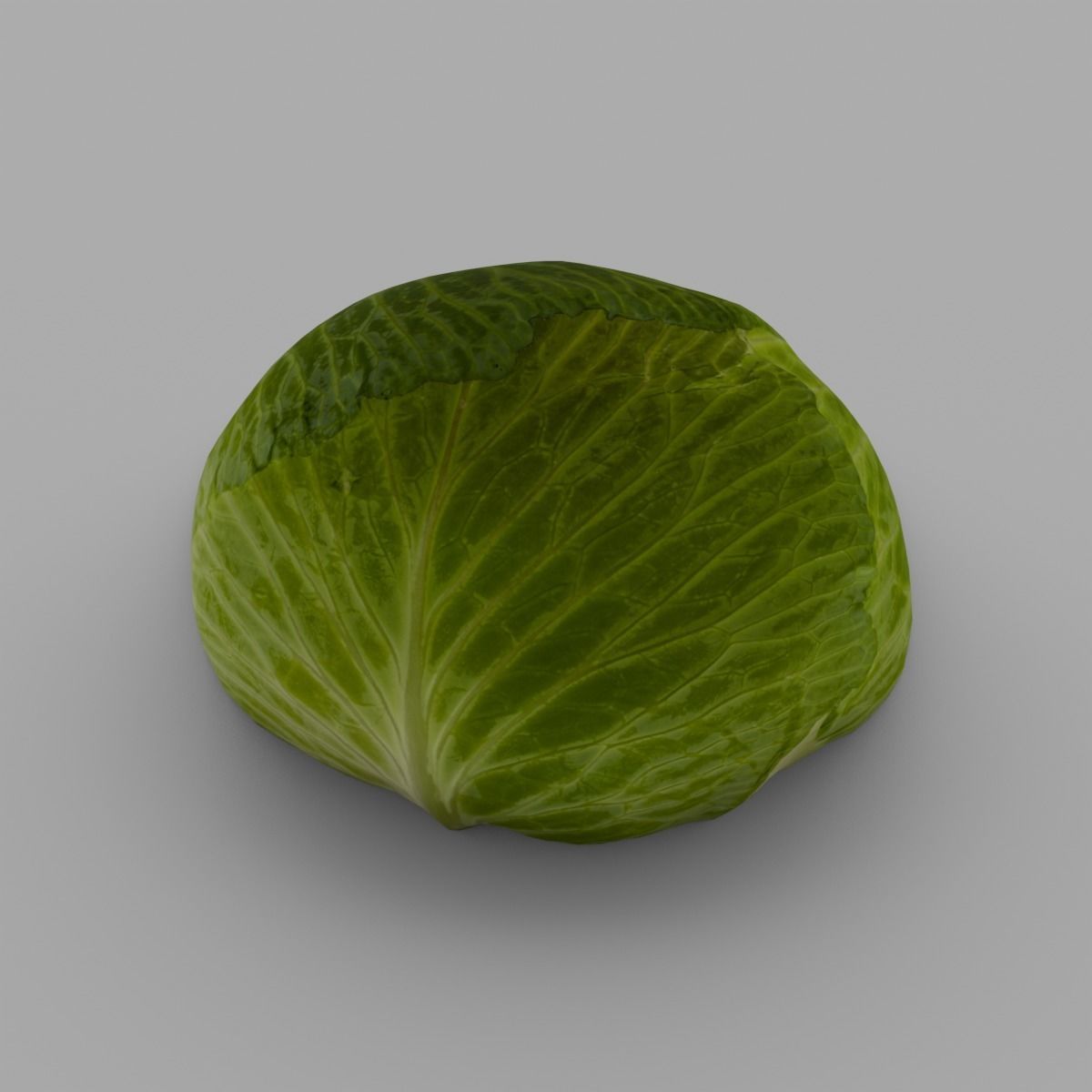 Cabbage 3D Model Low-poly 3D model_3