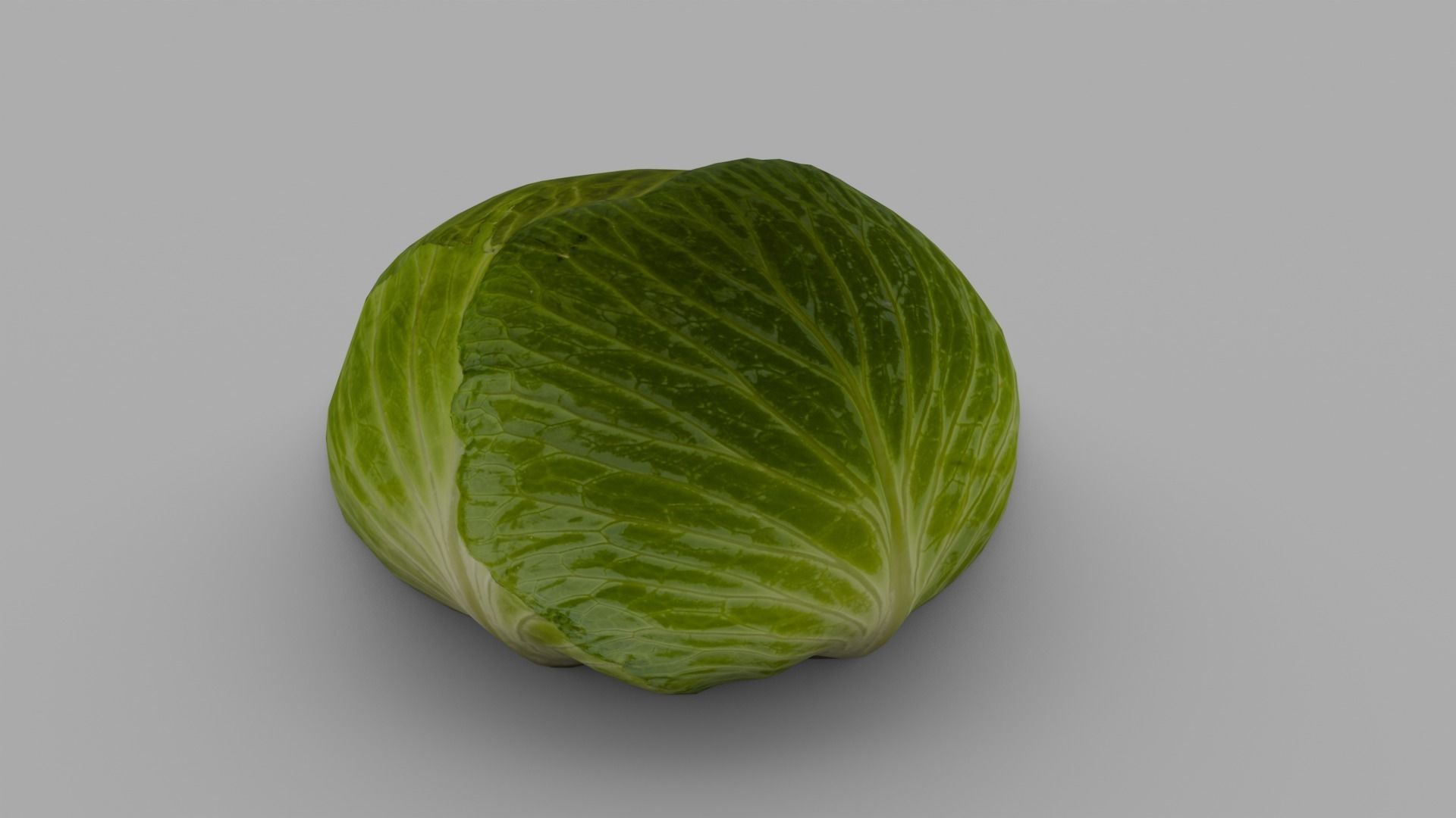 Cabbage 3D Model Low-poly 3D model_16