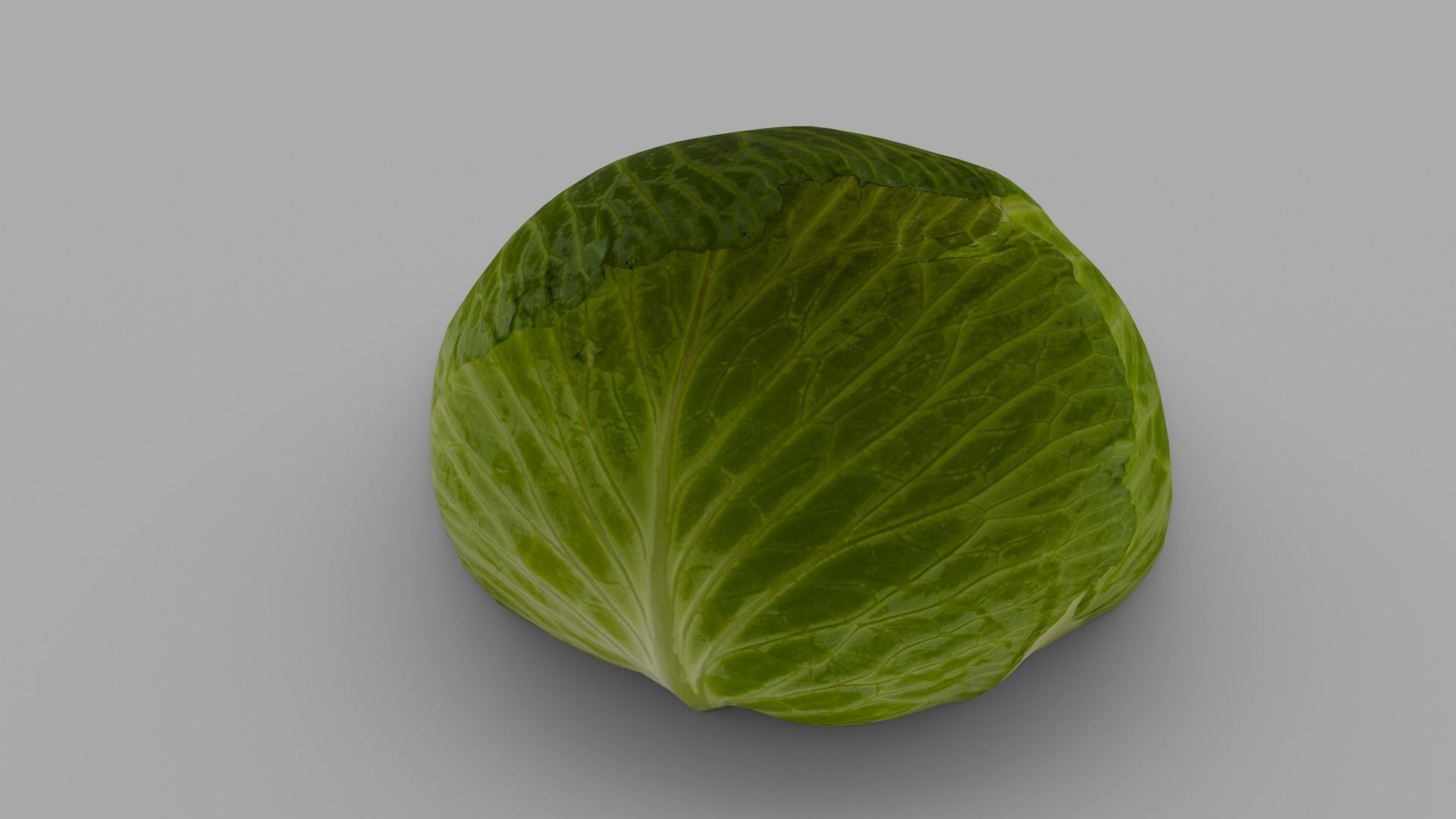Cabbage 3D Model Low-poly 3D model_2