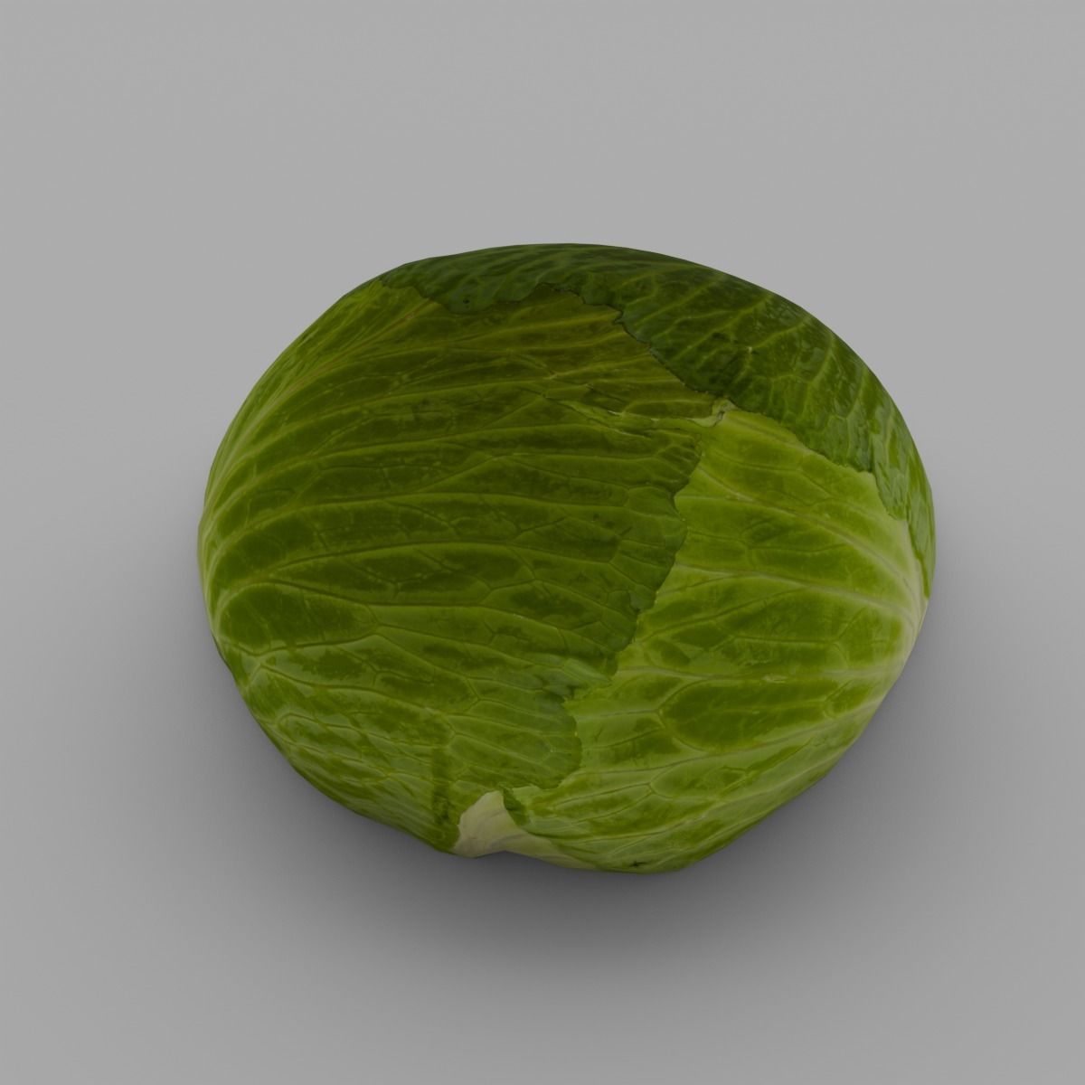 Cabbage 3D Model Low-poly 3D model_4