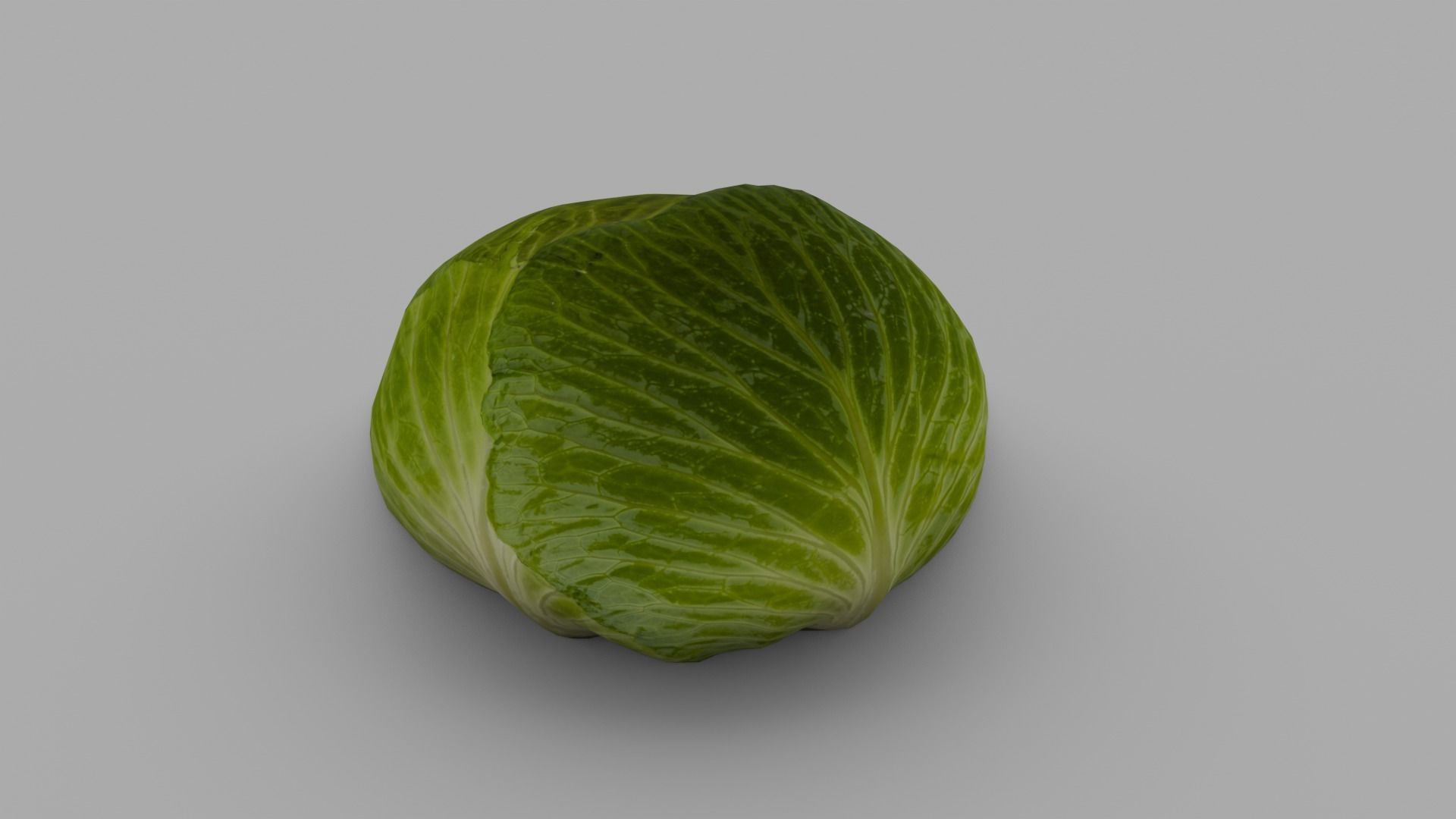Cabbage 3D Model Low-poly 3D model_15