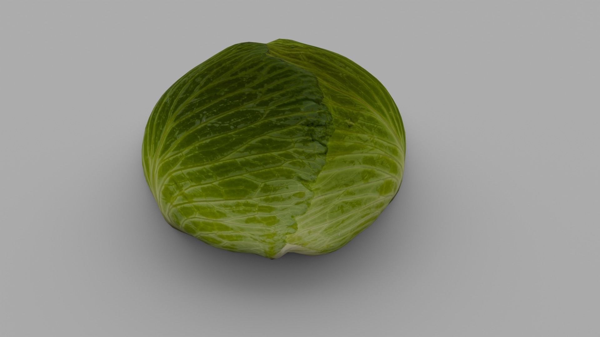 Cabbage 3D Model Low-poly 3D model_17