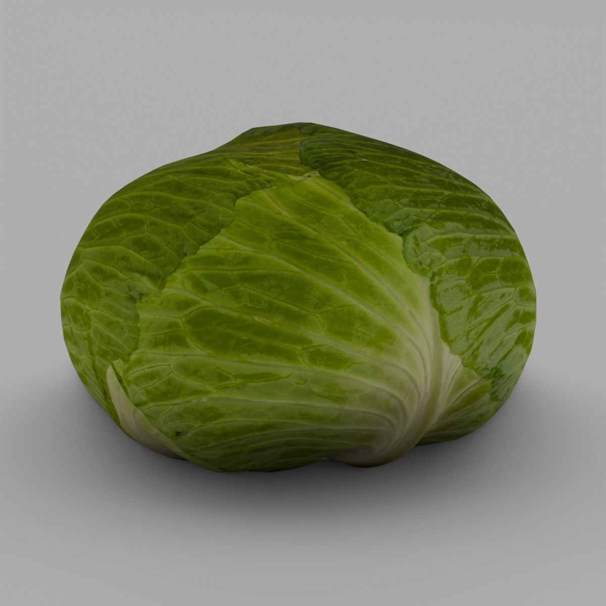 Cabbage 3D Model Low-poly 3D model_5