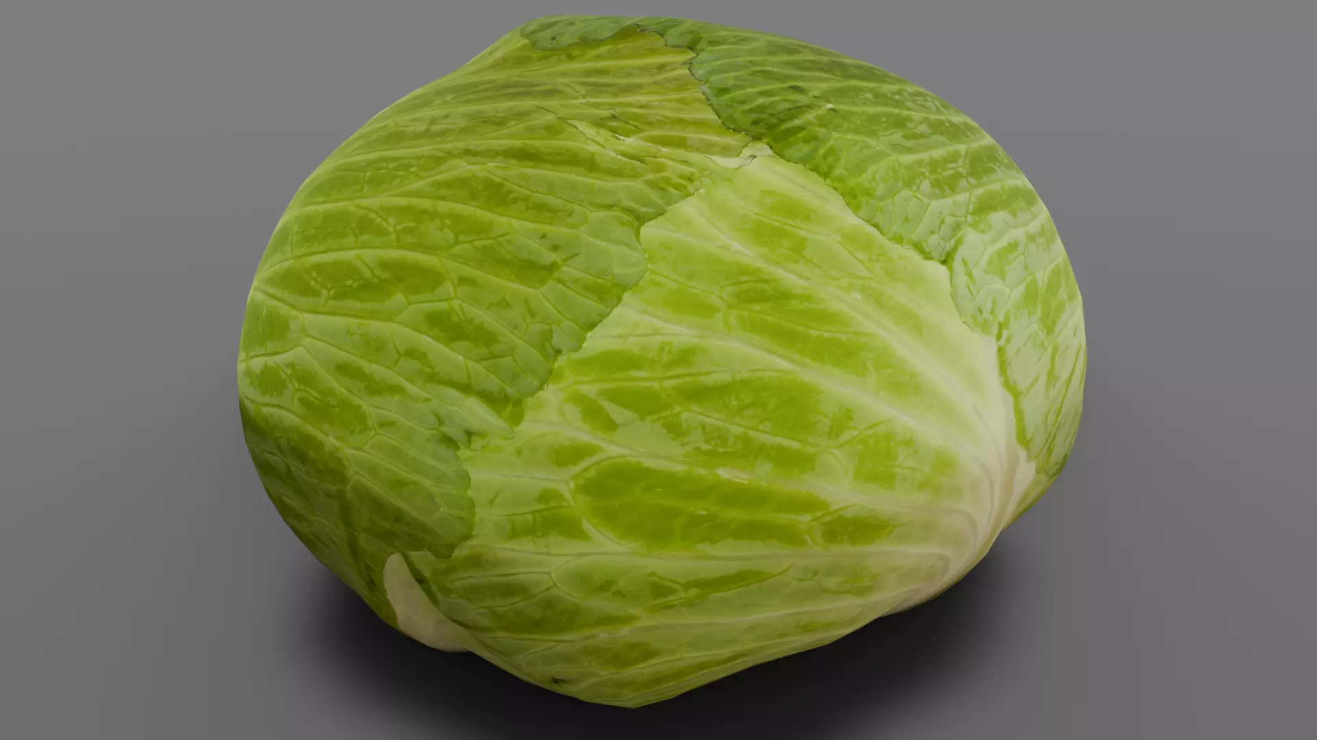 Cabbage 3D Model Low-poly 3D model_0