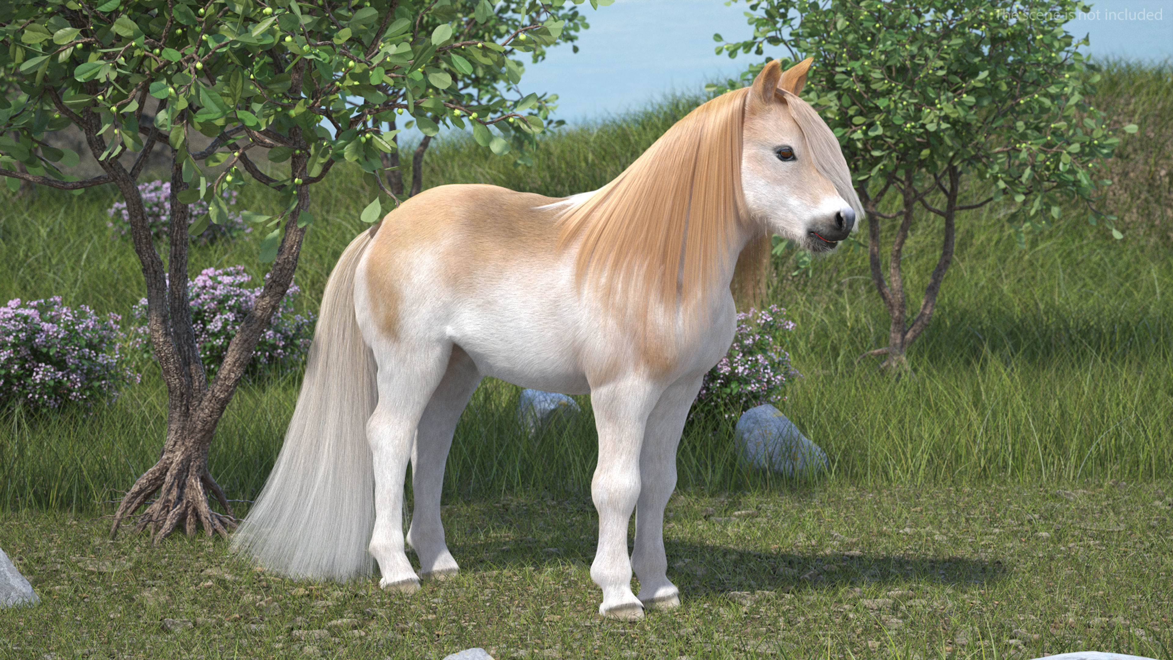 Shetland Pony with Long Mane Fur Rigged 3D model