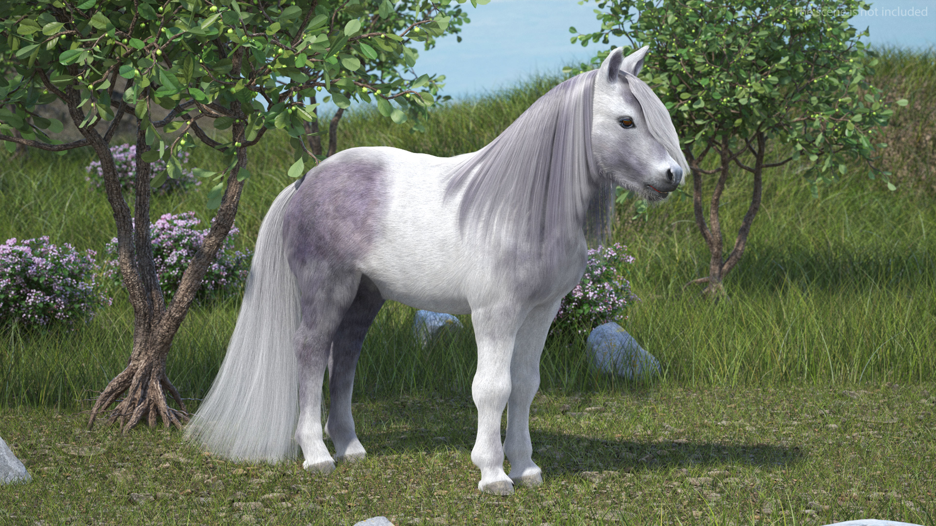 White Pony with Long Mane Fur Rigged 3D model