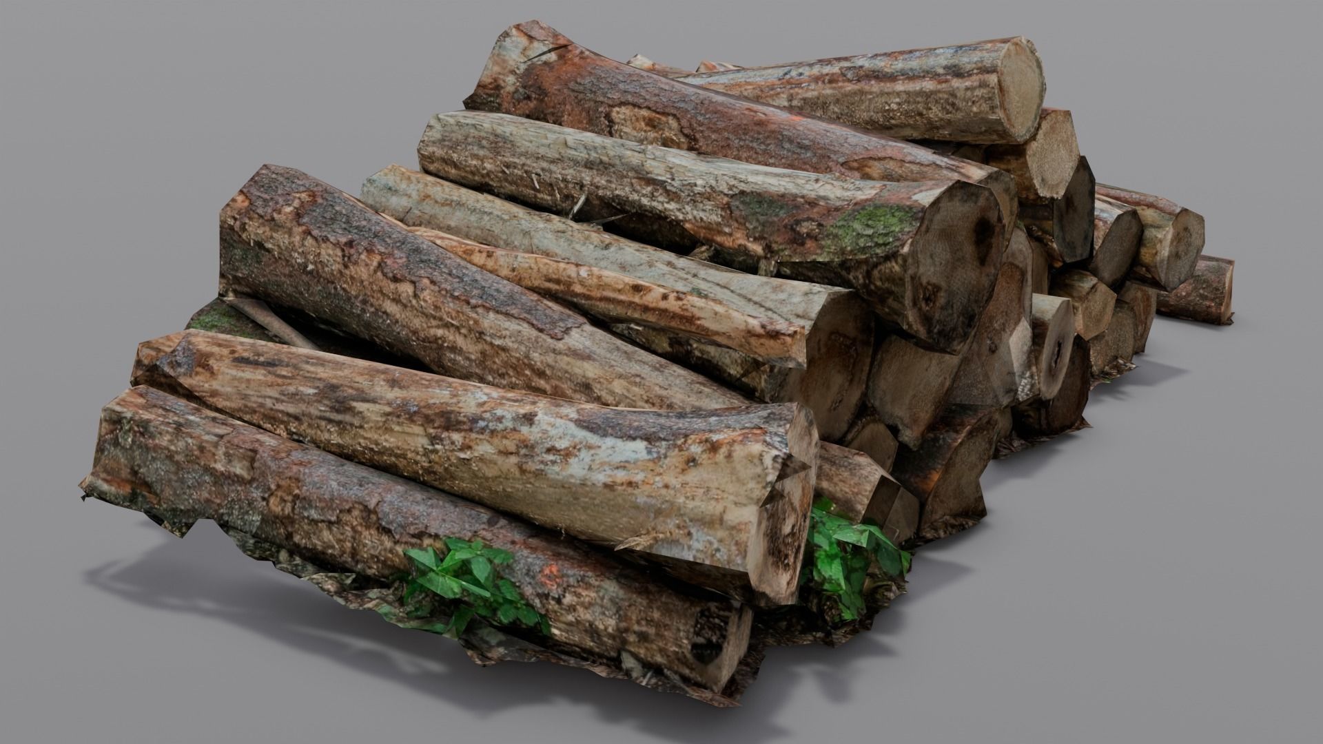 Wood 3D Model Low-poly 3D model_2