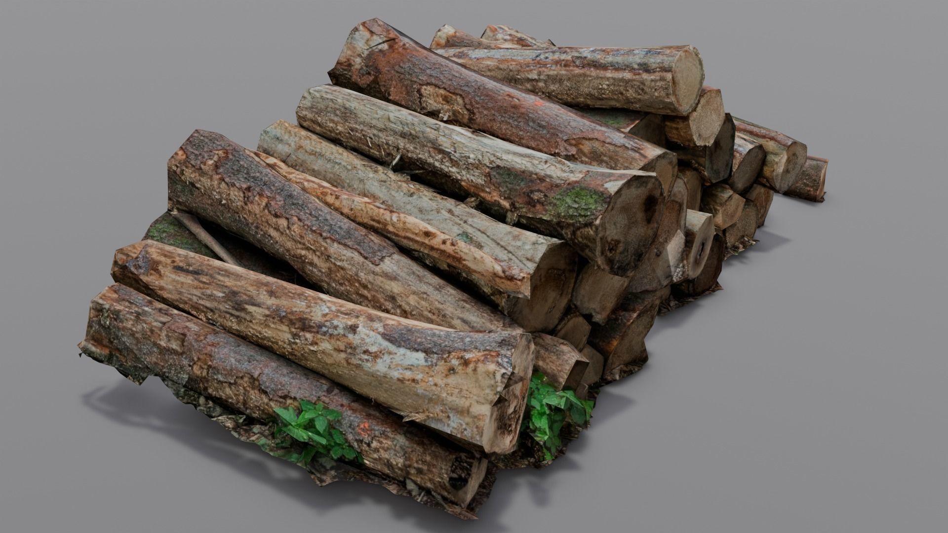 Wood 3D Model Low-poly 3D model_15