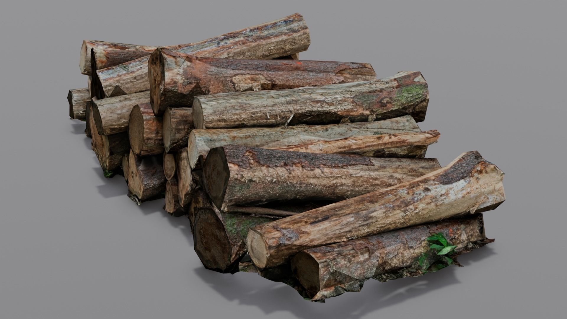 Wood 3D Model Low-poly 3D model_16