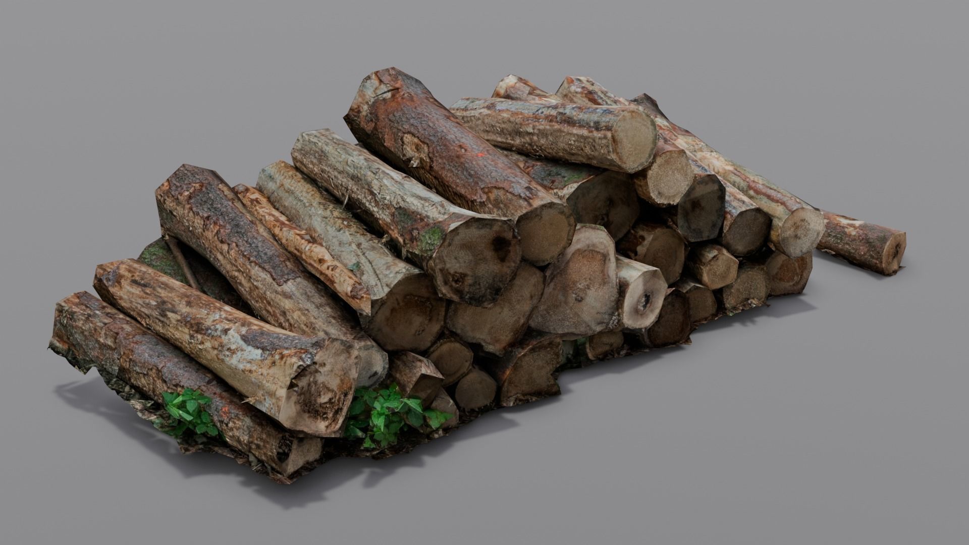 Wood 3D Model Low-poly 3D model_14
