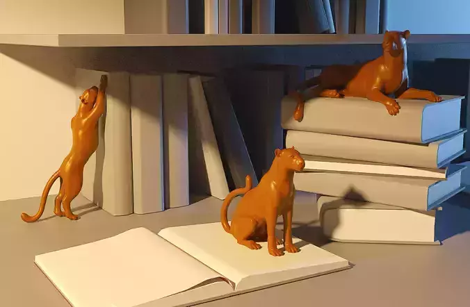 Big cats  for library