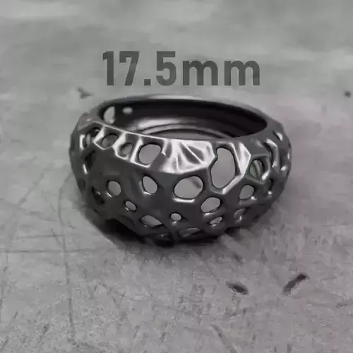 Parametric Organic Ring 3D print model