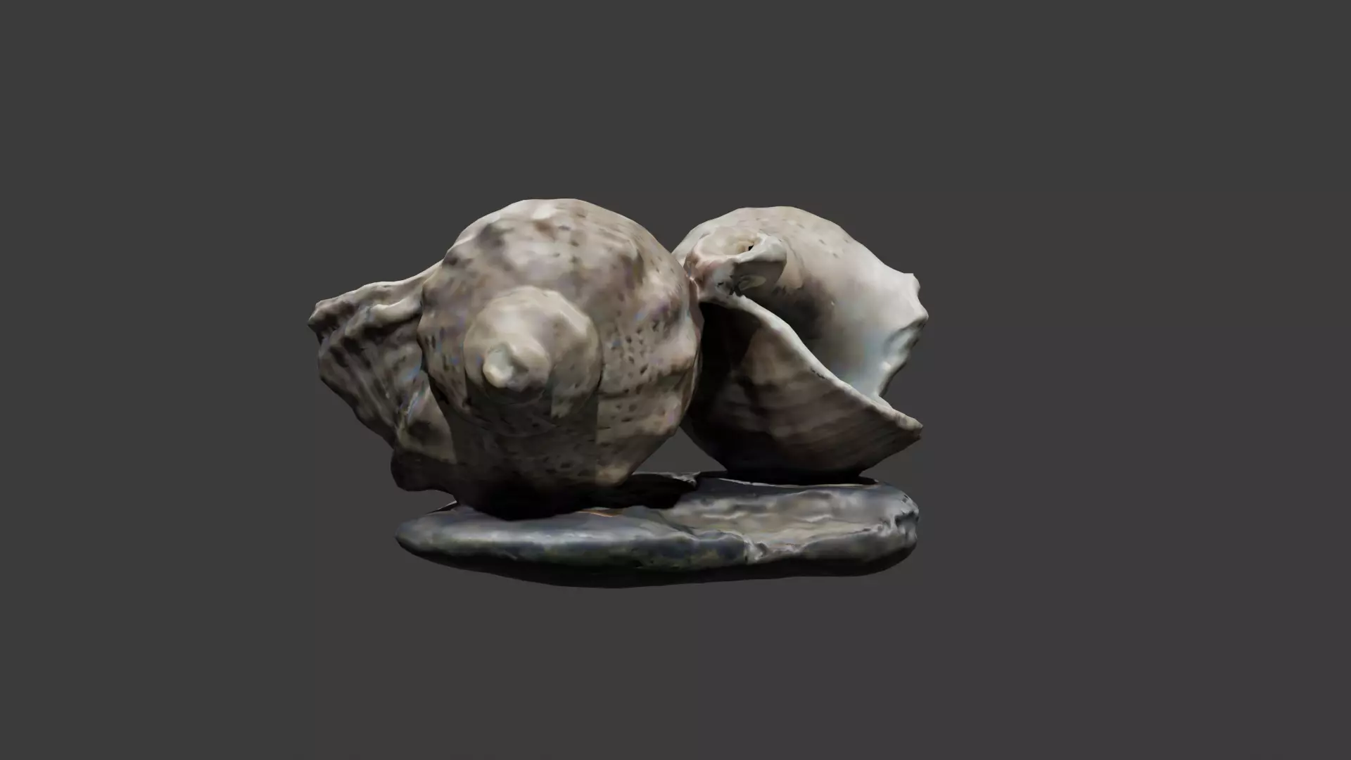 Sea shell ashtray Free low-poly 3D model