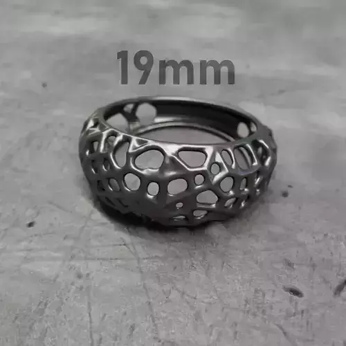 Parametric Organic Ring