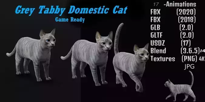 Grey Tabby Domestic Cat Low-poly 3D model