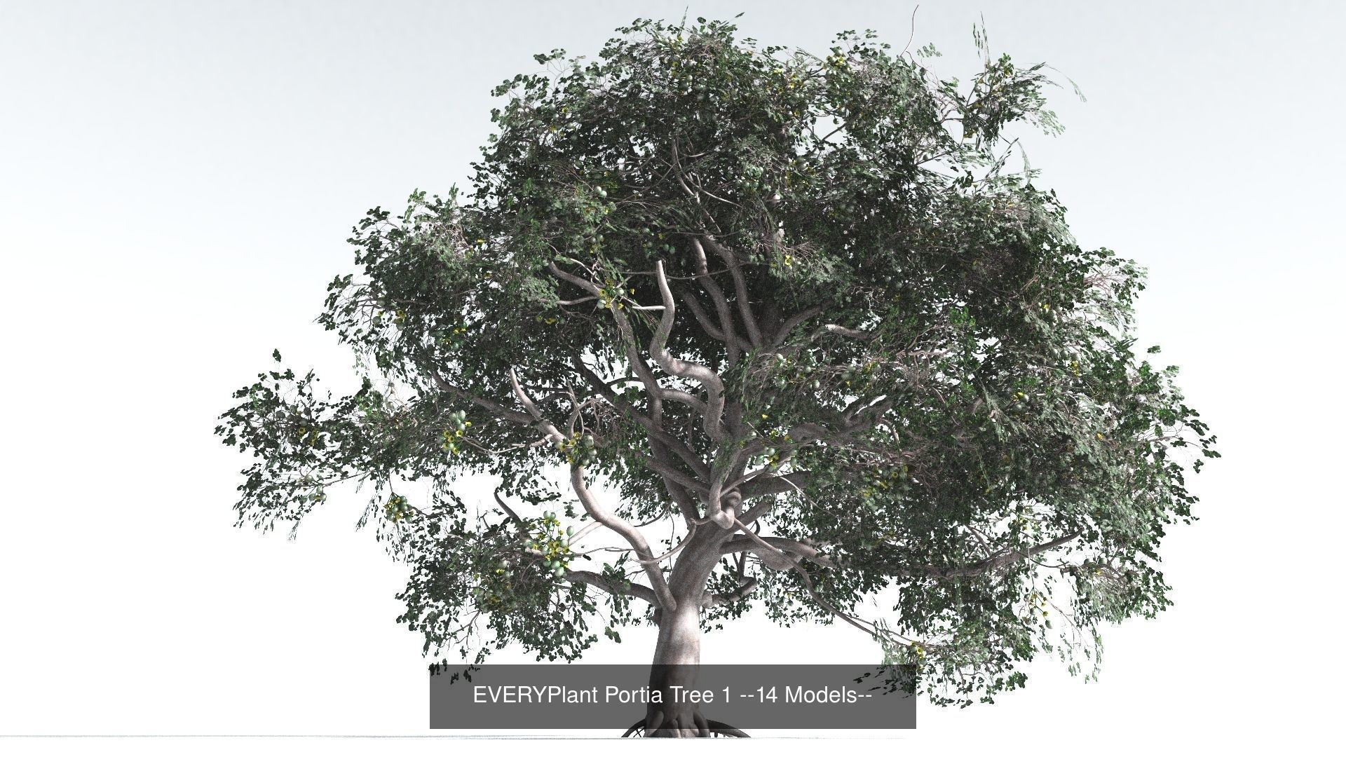 EVERYPlant Portia Tree Bundle --56 Models-- 3D Model Collection_1