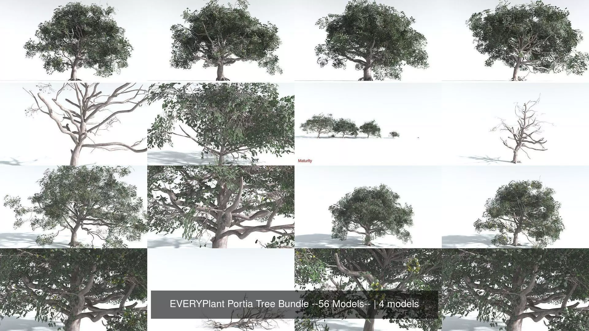 EVERYPlant Portia Tree Bundle --56 Models-- 3D Model Collection_0