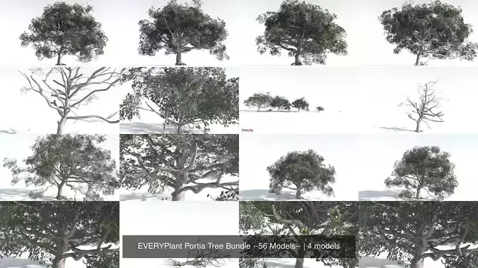 EVERYPlant Portia Tree Bundle --56 Models-- 3D Model Collection