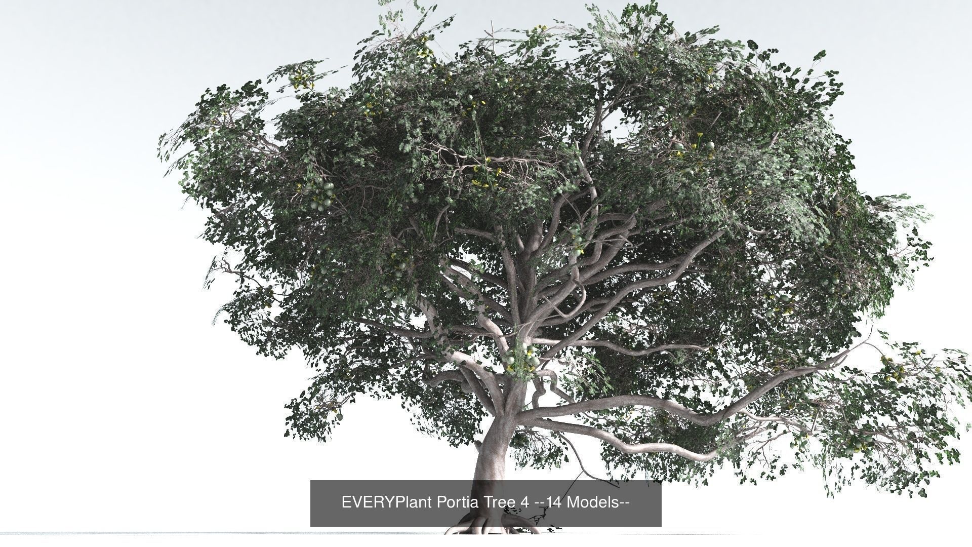 EVERYPlant Portia Tree Bundle --56 Models-- 3D Model Collection_4