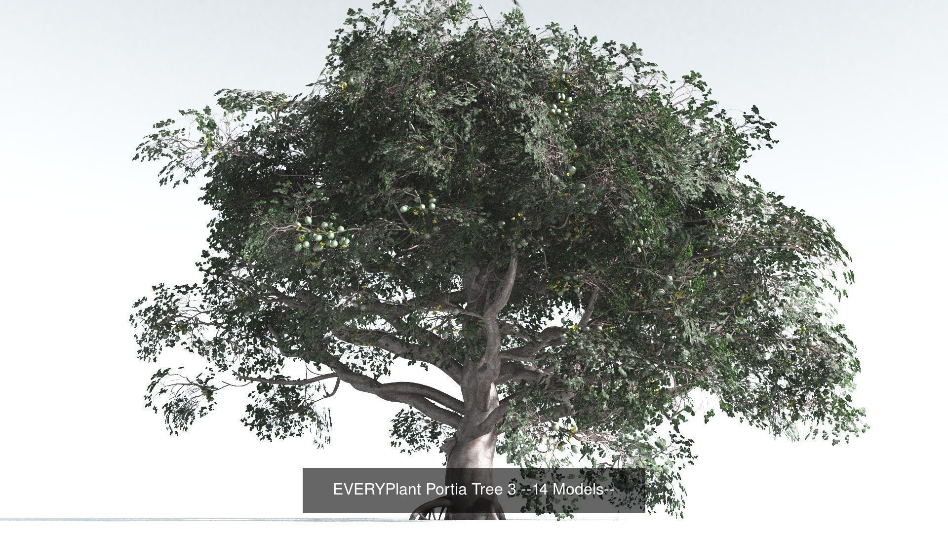 EVERYPlant Portia Tree Bundle --56 Models-- 3D Model Collection_3