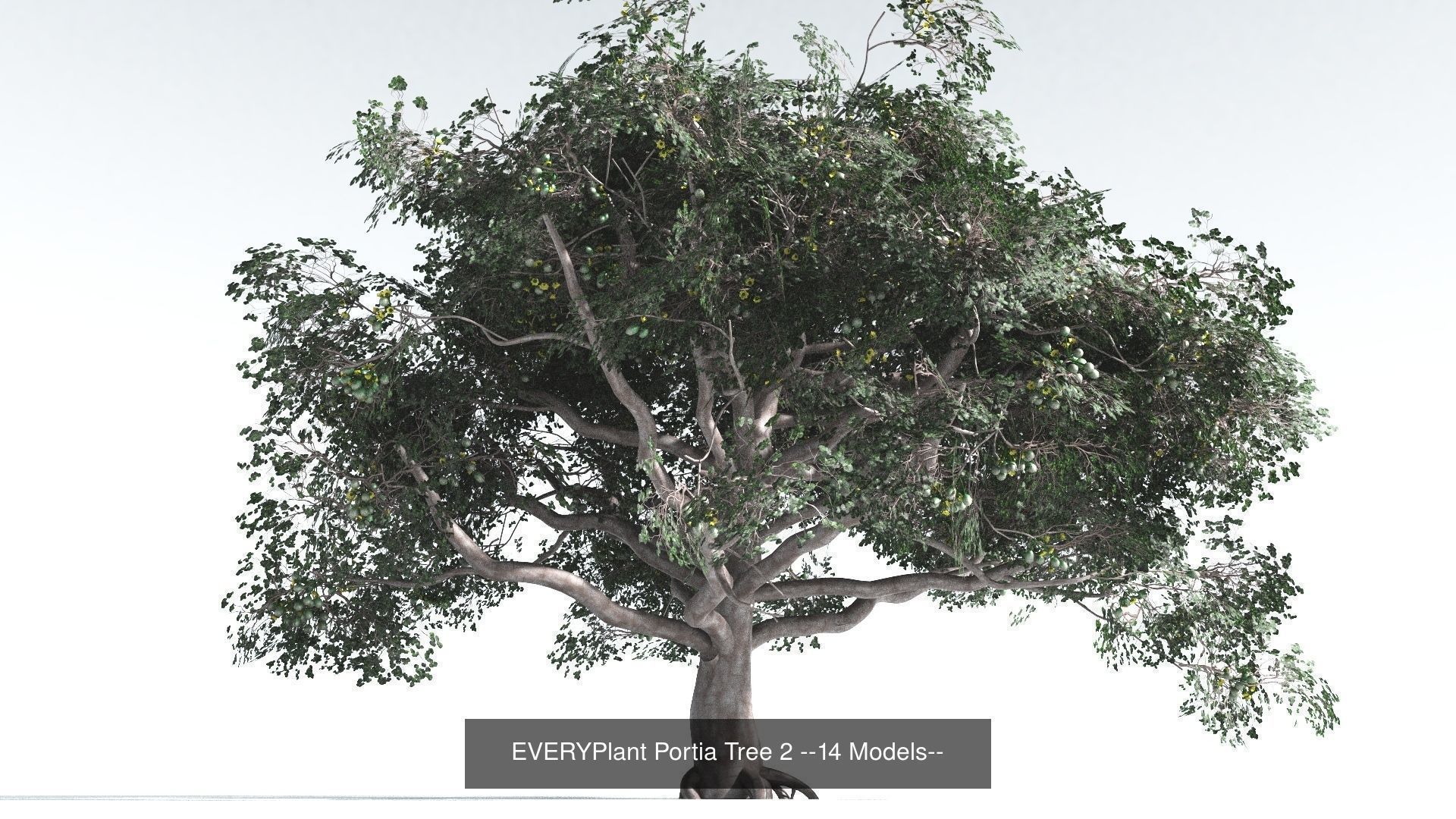 EVERYPlant Portia Tree Bundle --56 Models-- 3D Model Collection_2