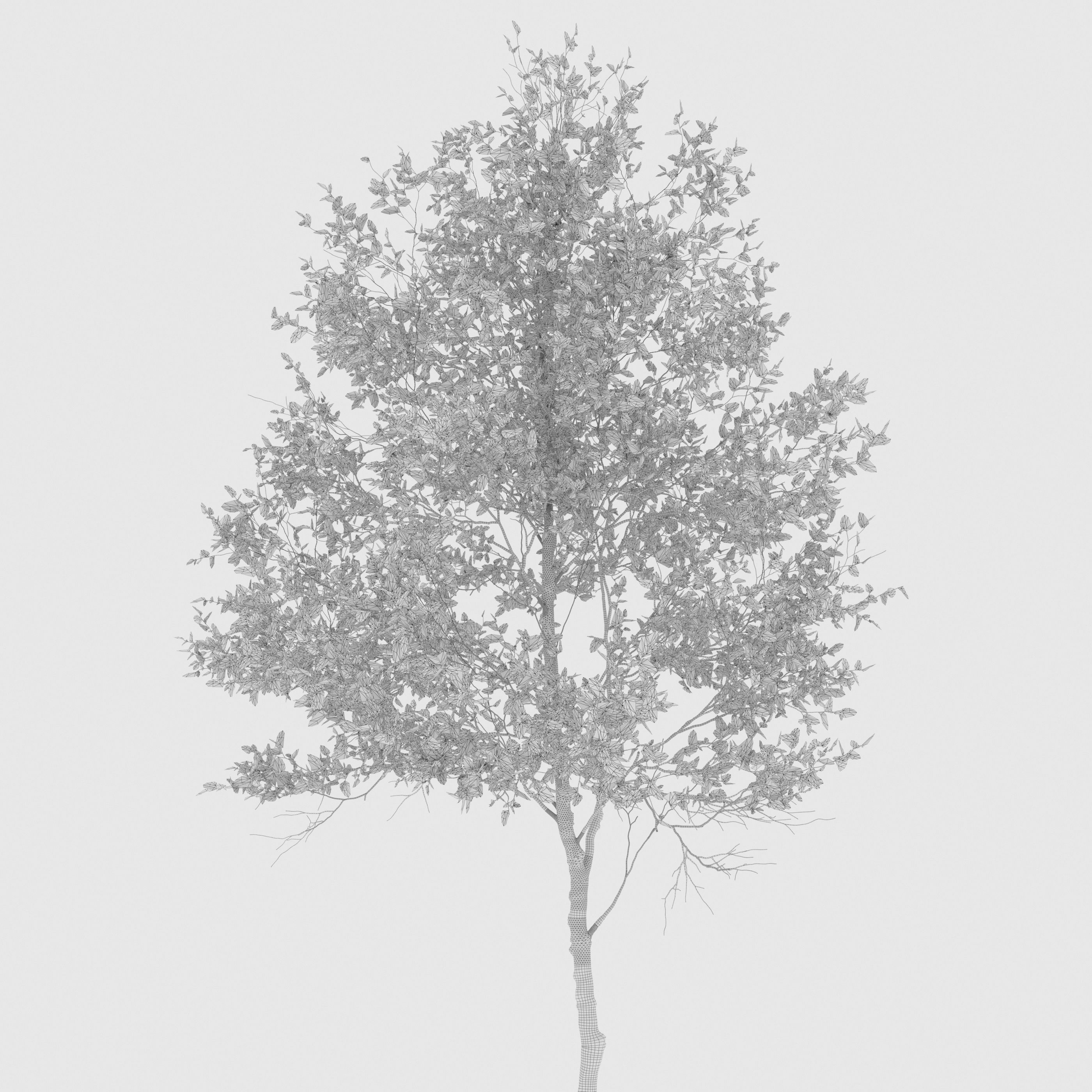 Autumn forest trees 01 3D model_4