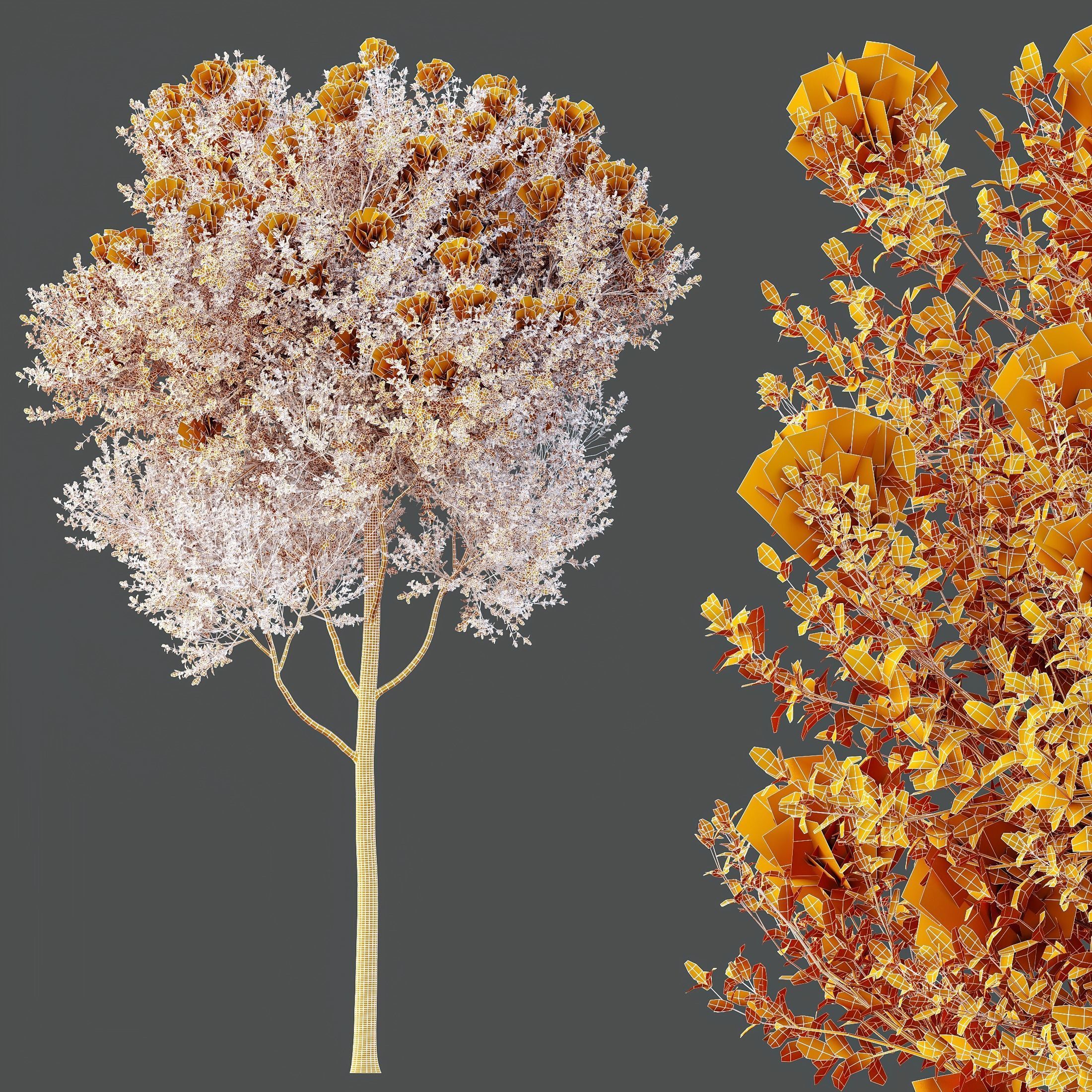 HQ Plants Teak Tectona Grandis Tree 3D model_3