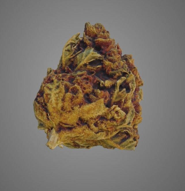 Cannabis flower 3D model_1