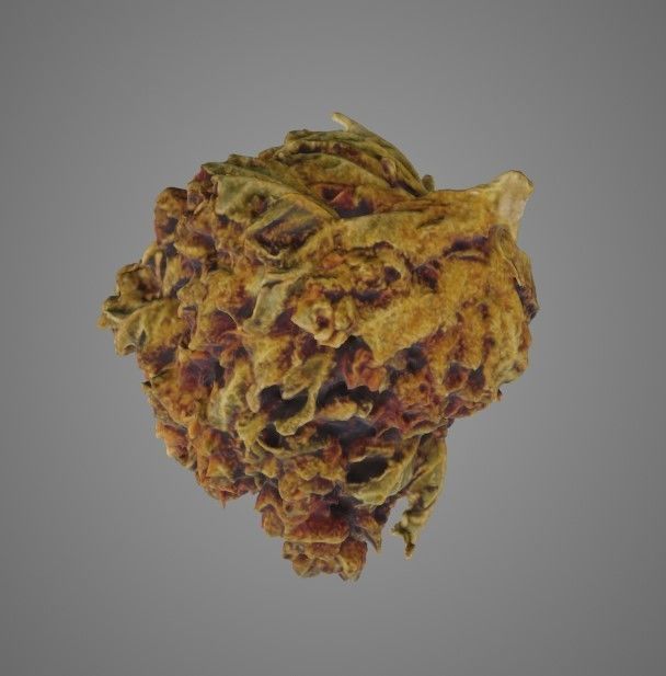 Cannabis flower 3D model_2
