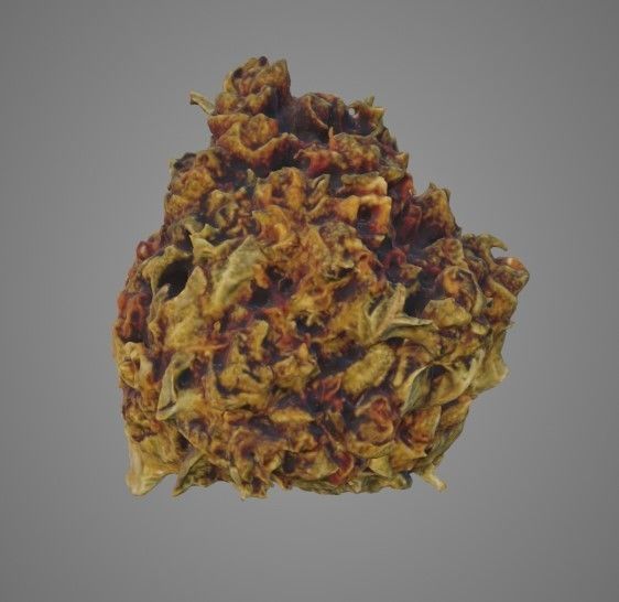 Cannabis flower 3D model_3