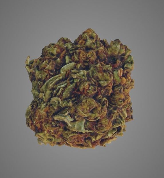 Cannabis flower 3D model_4