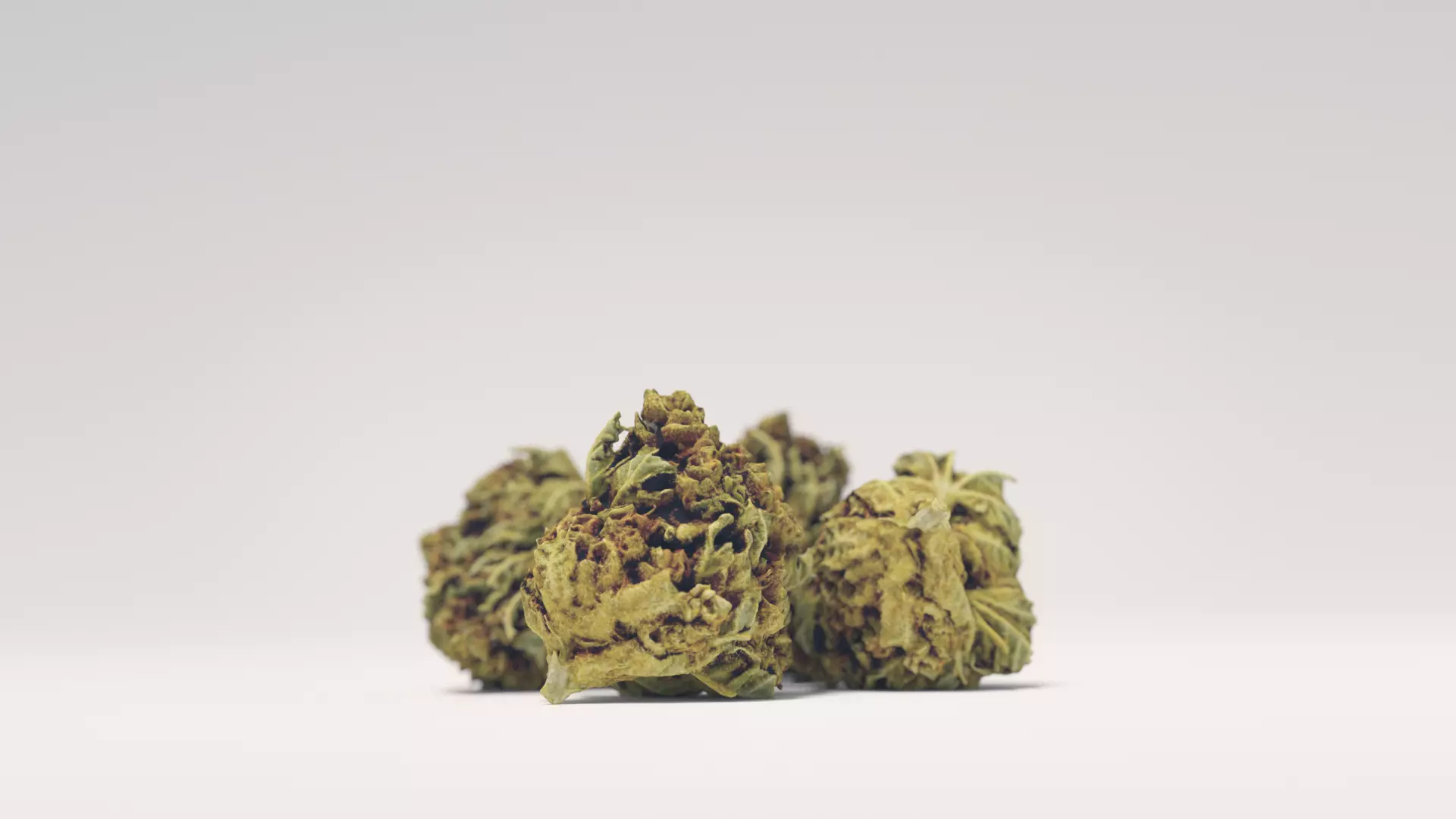 Cannabis flower 3D model_0