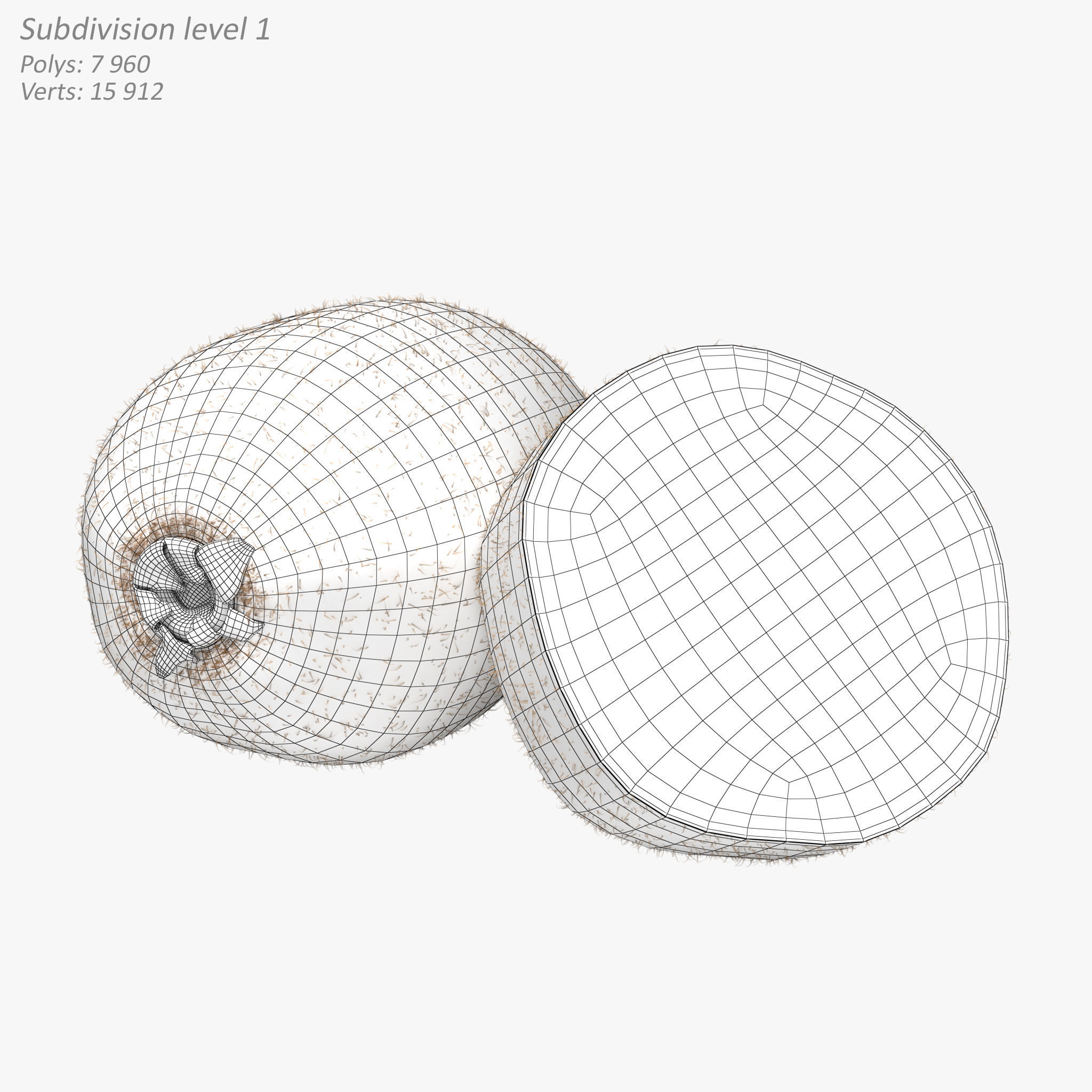 Kiwi Fruit Whole And Cut 3D model_10