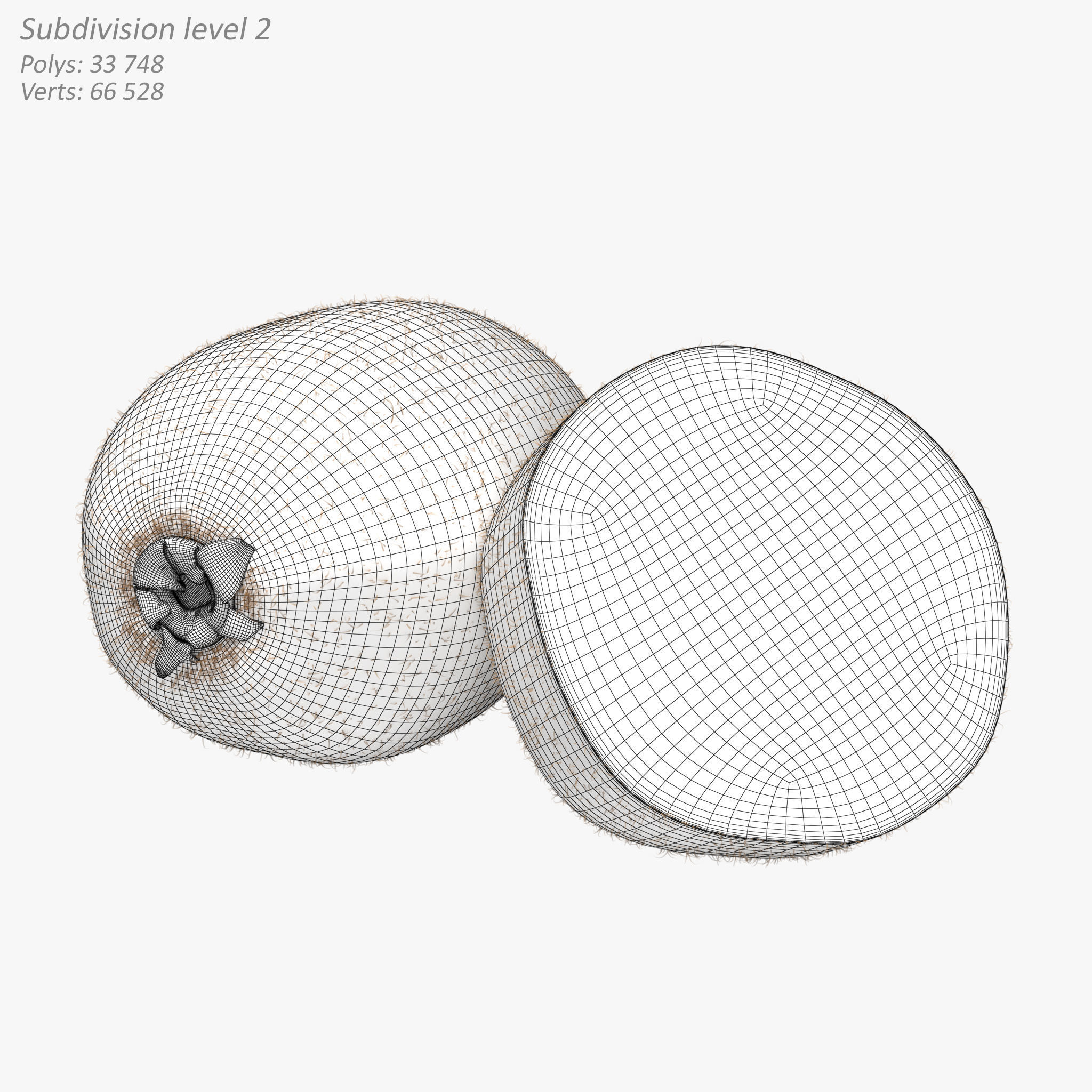 Kiwi Fruit Whole And Cut 3D model_11