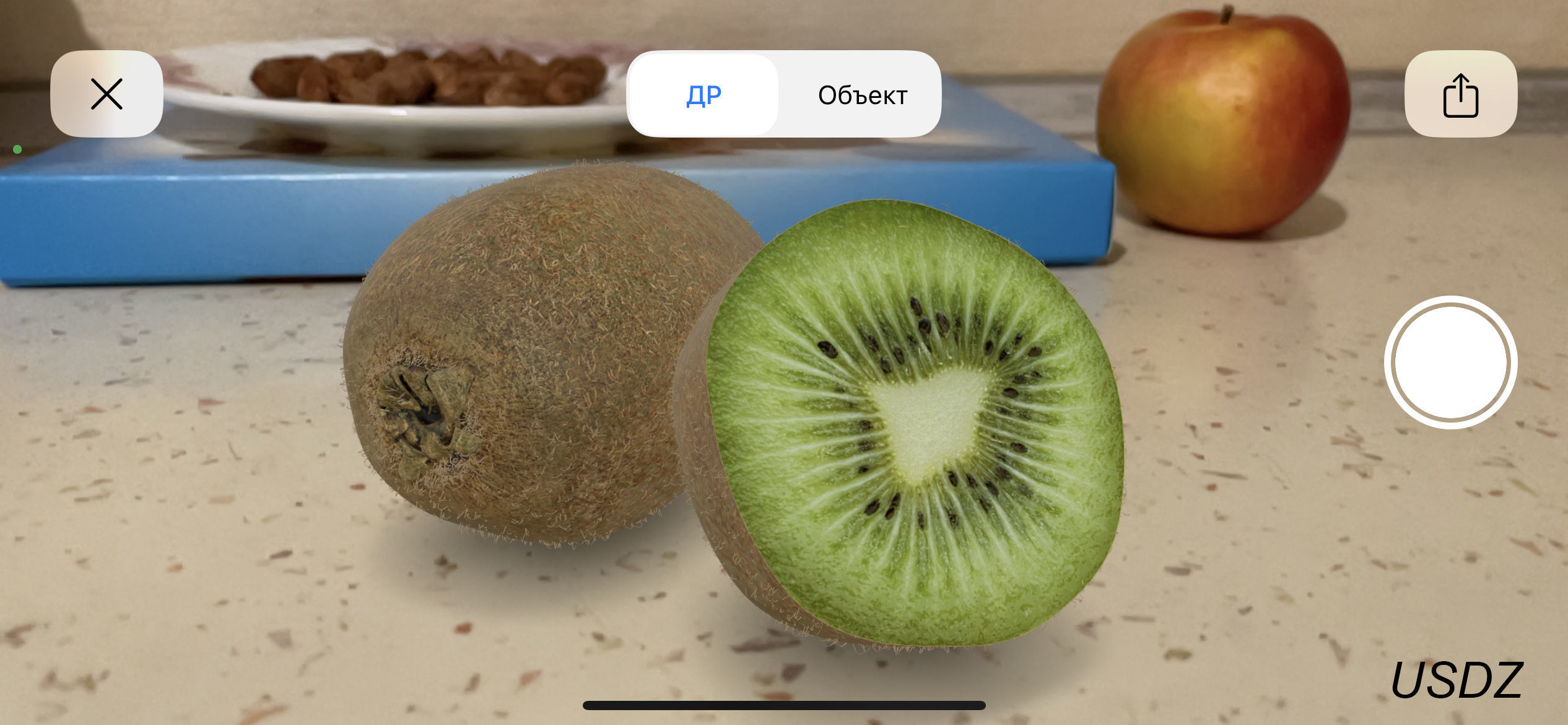 Kiwi Fruit Whole And Cut 3D model_14