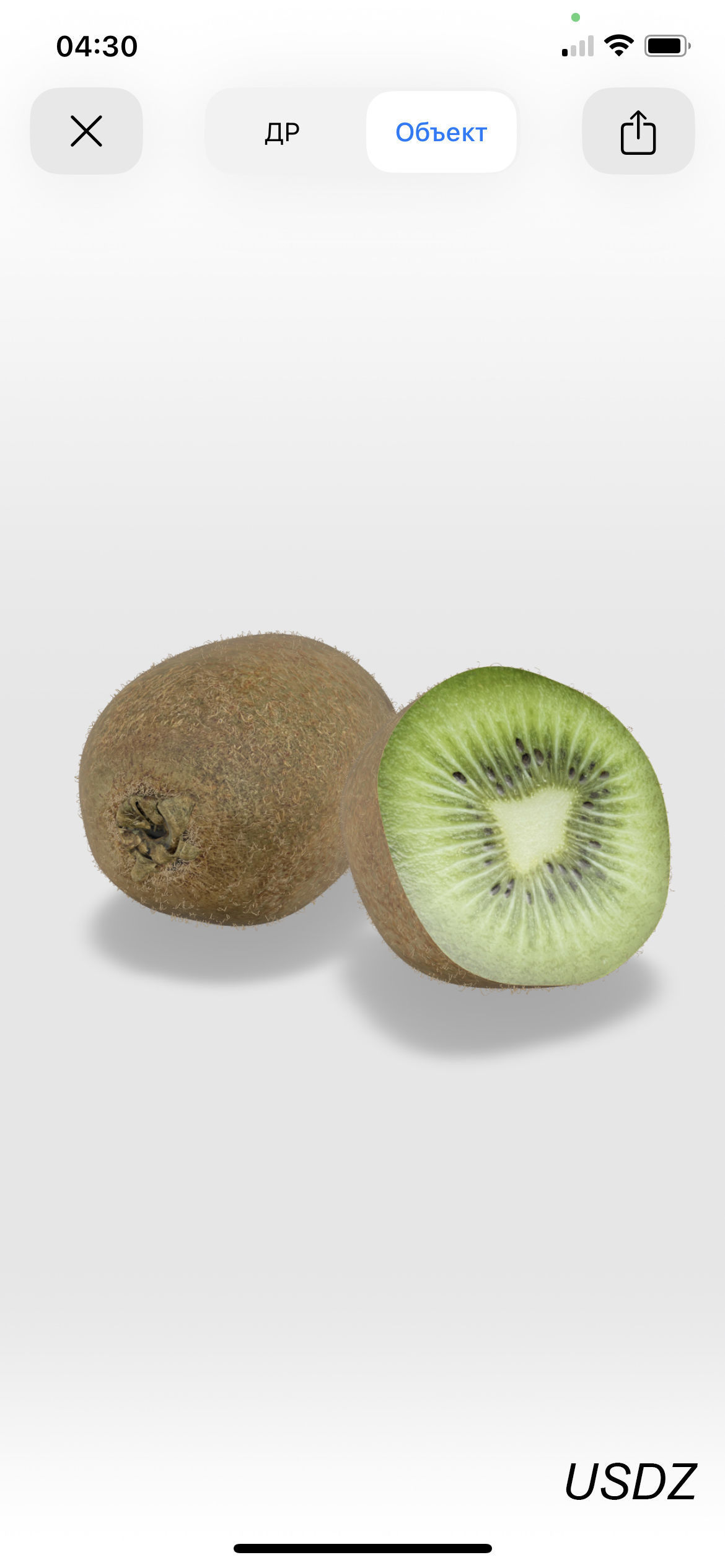 Kiwi Fruit Whole And Cut 3D model_15