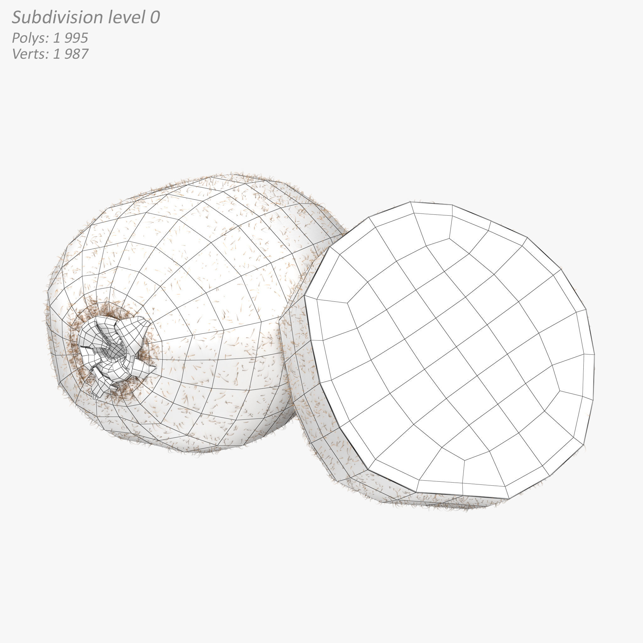 Kiwi Fruit Whole And Cut 3D model_9