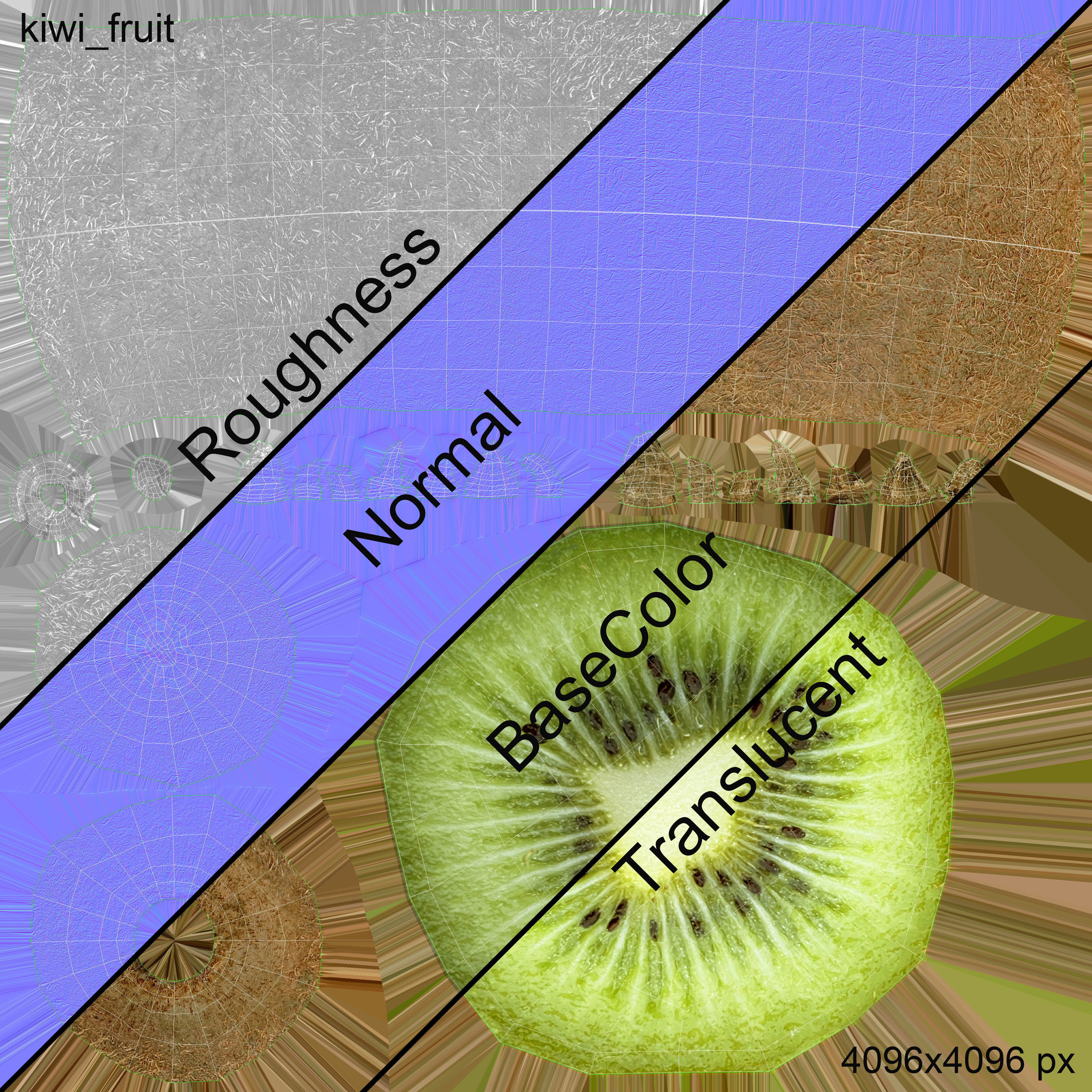 Kiwi Fruit Whole And Cut 3D model_13